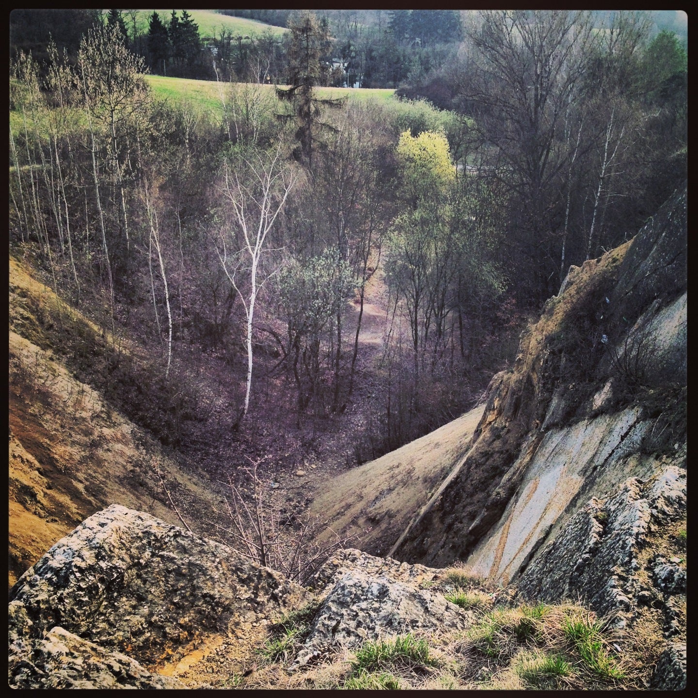 nature-preserve