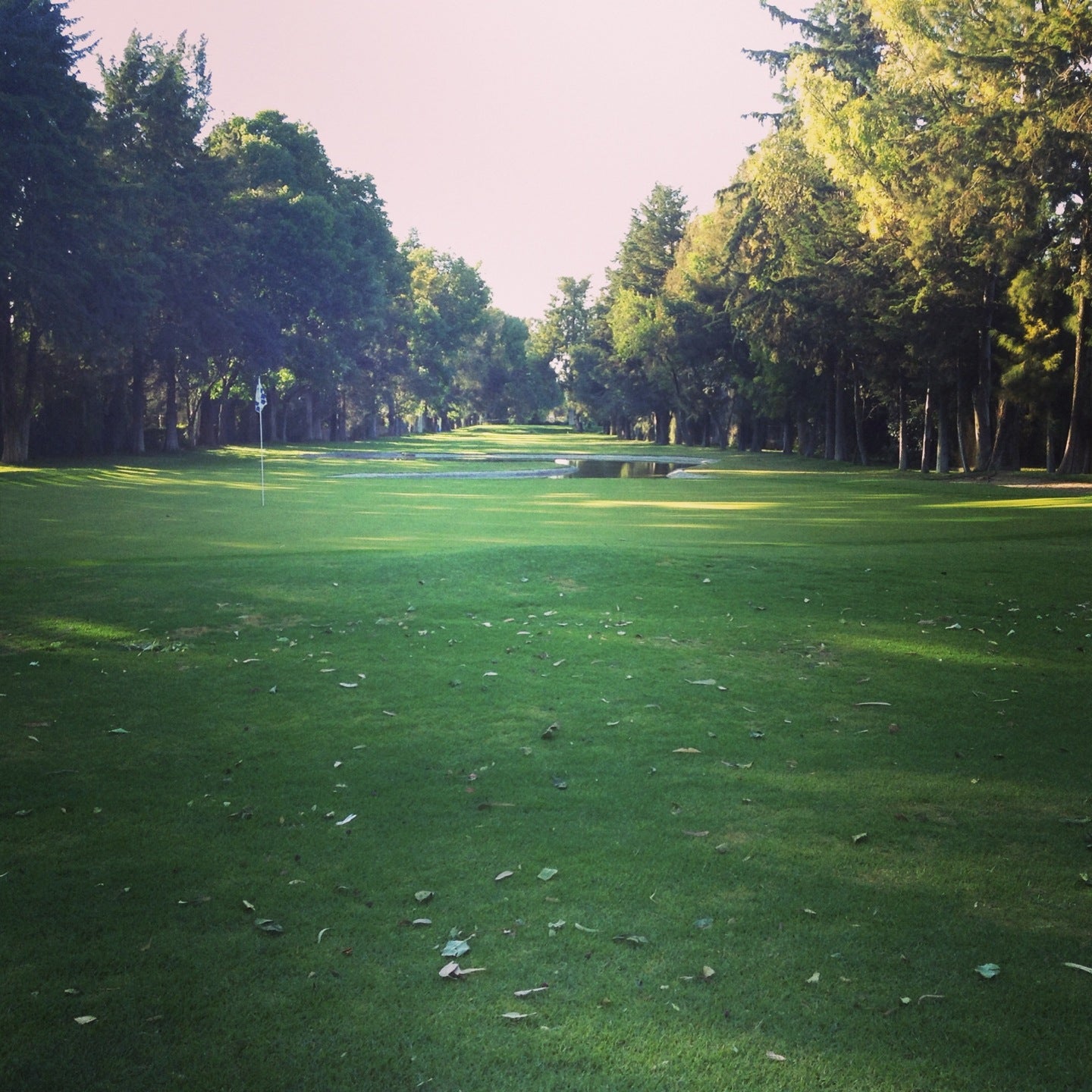golf-course