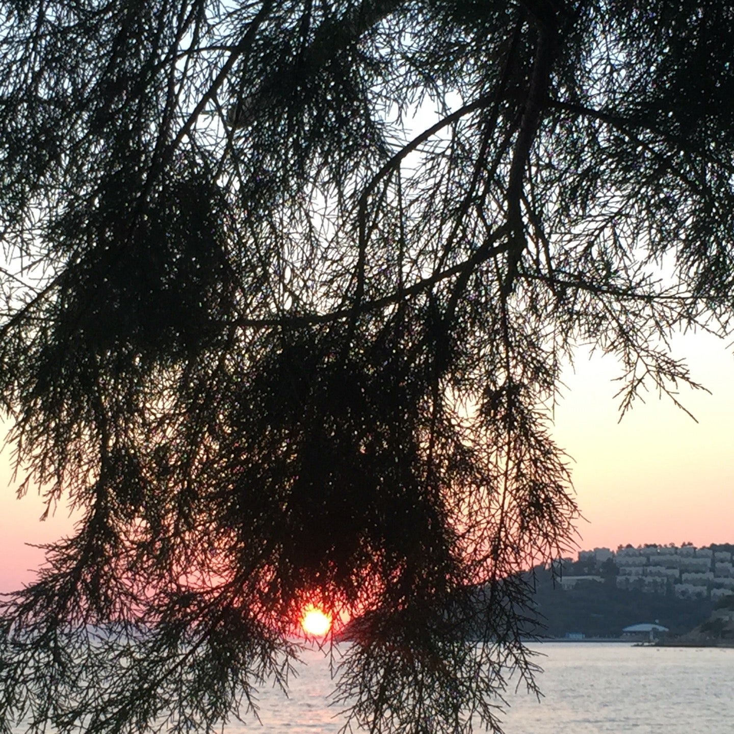 meyhane