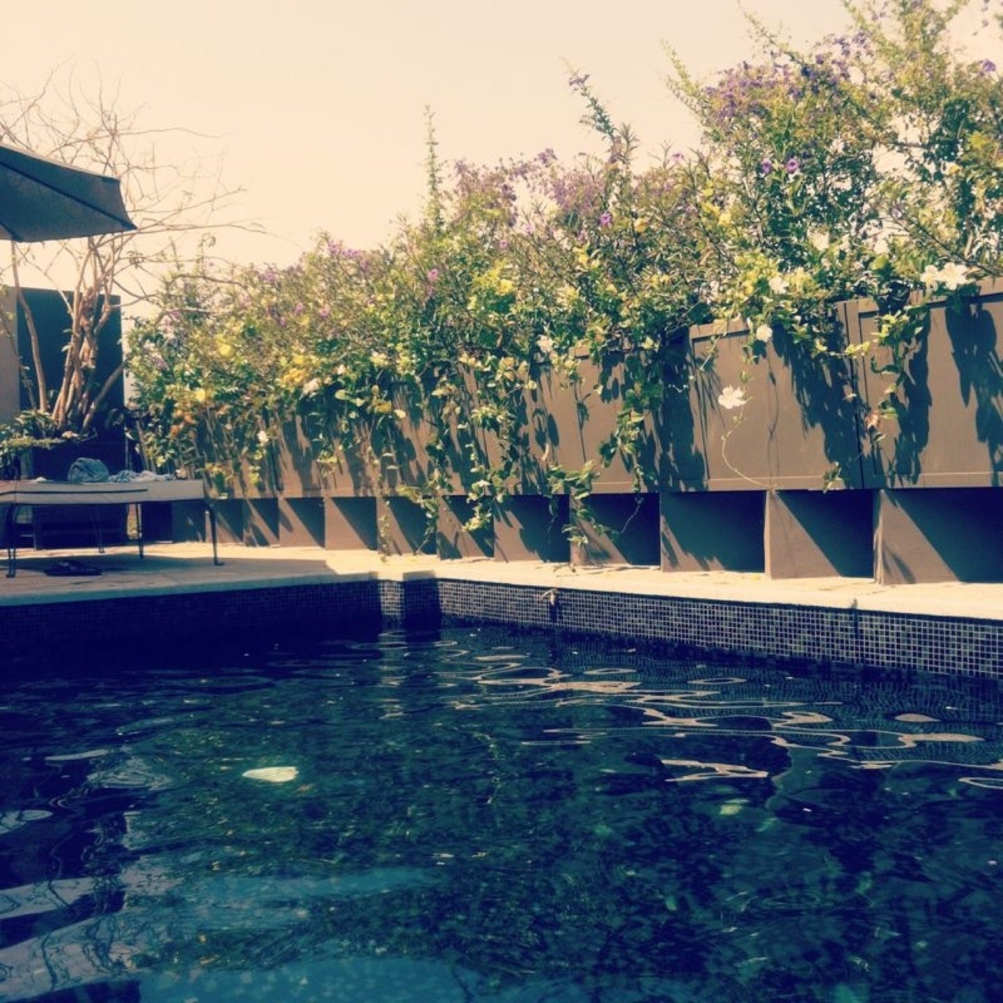 spa