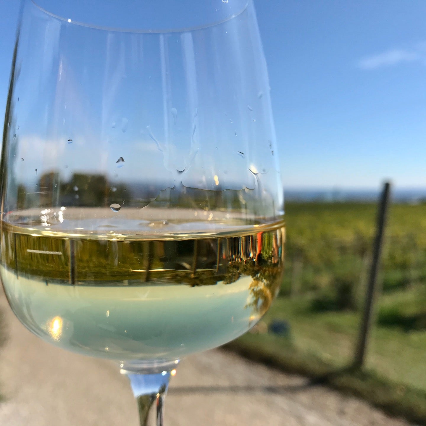 winery