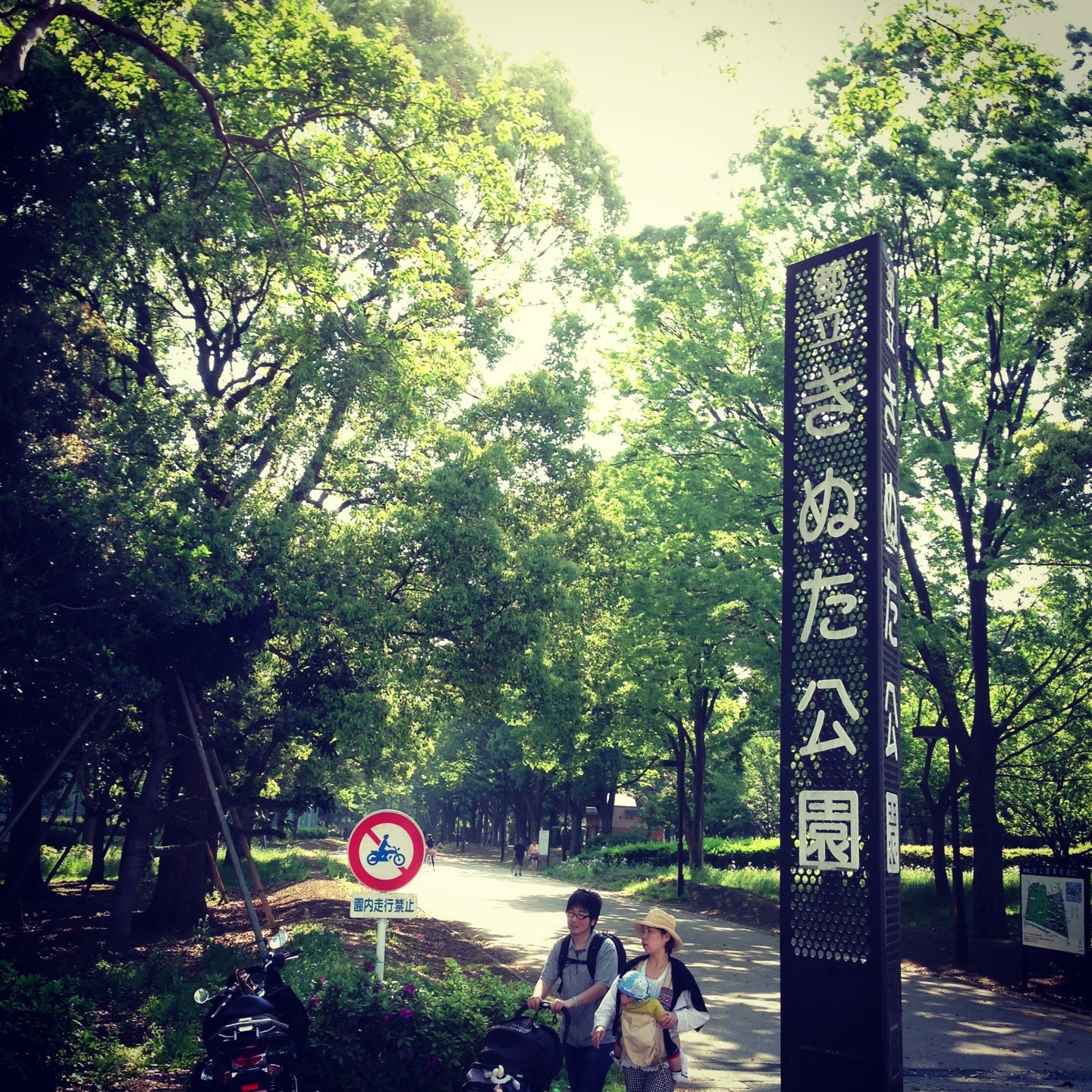 park