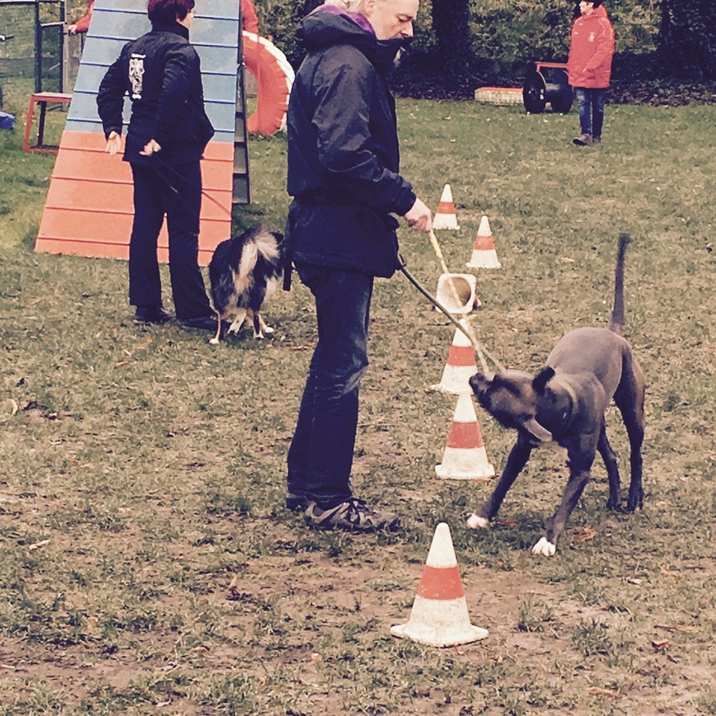 pet-service