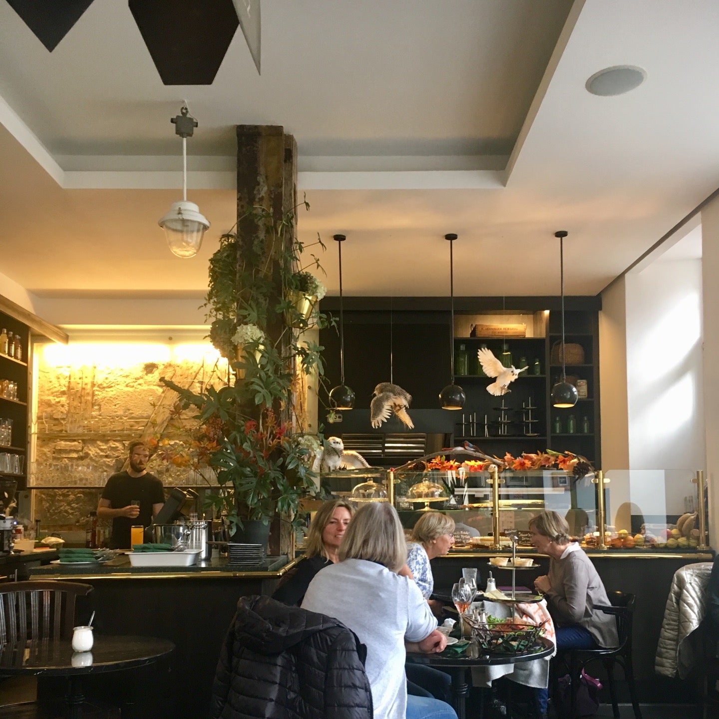 cafe