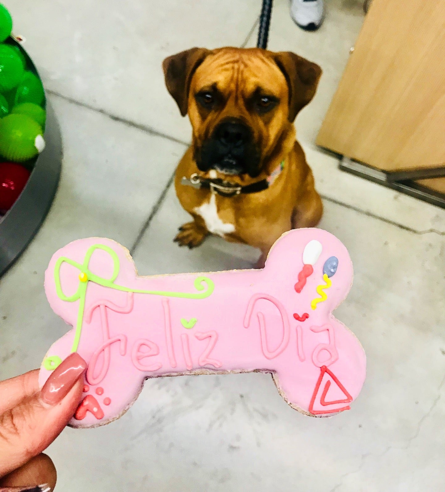 pet-store