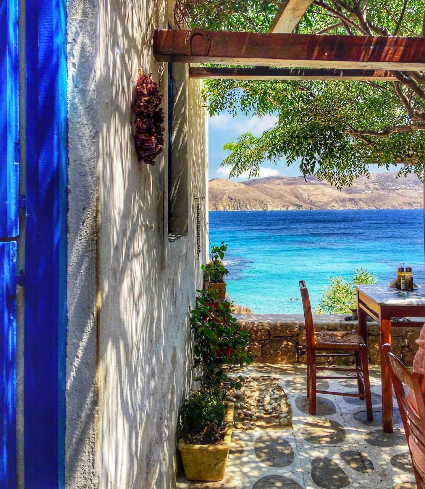 taverna