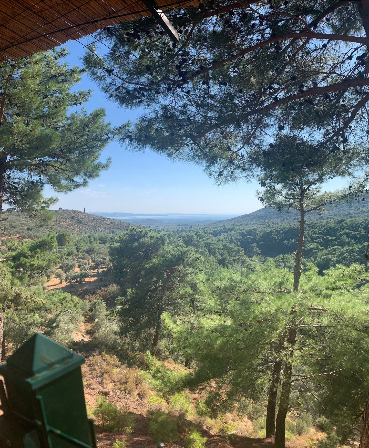 mountain