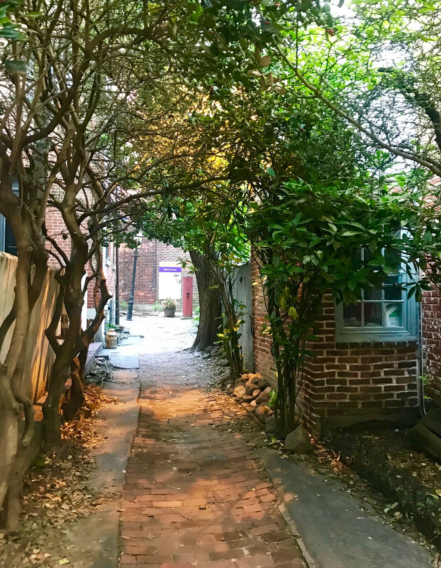 photo of Bladen's Court