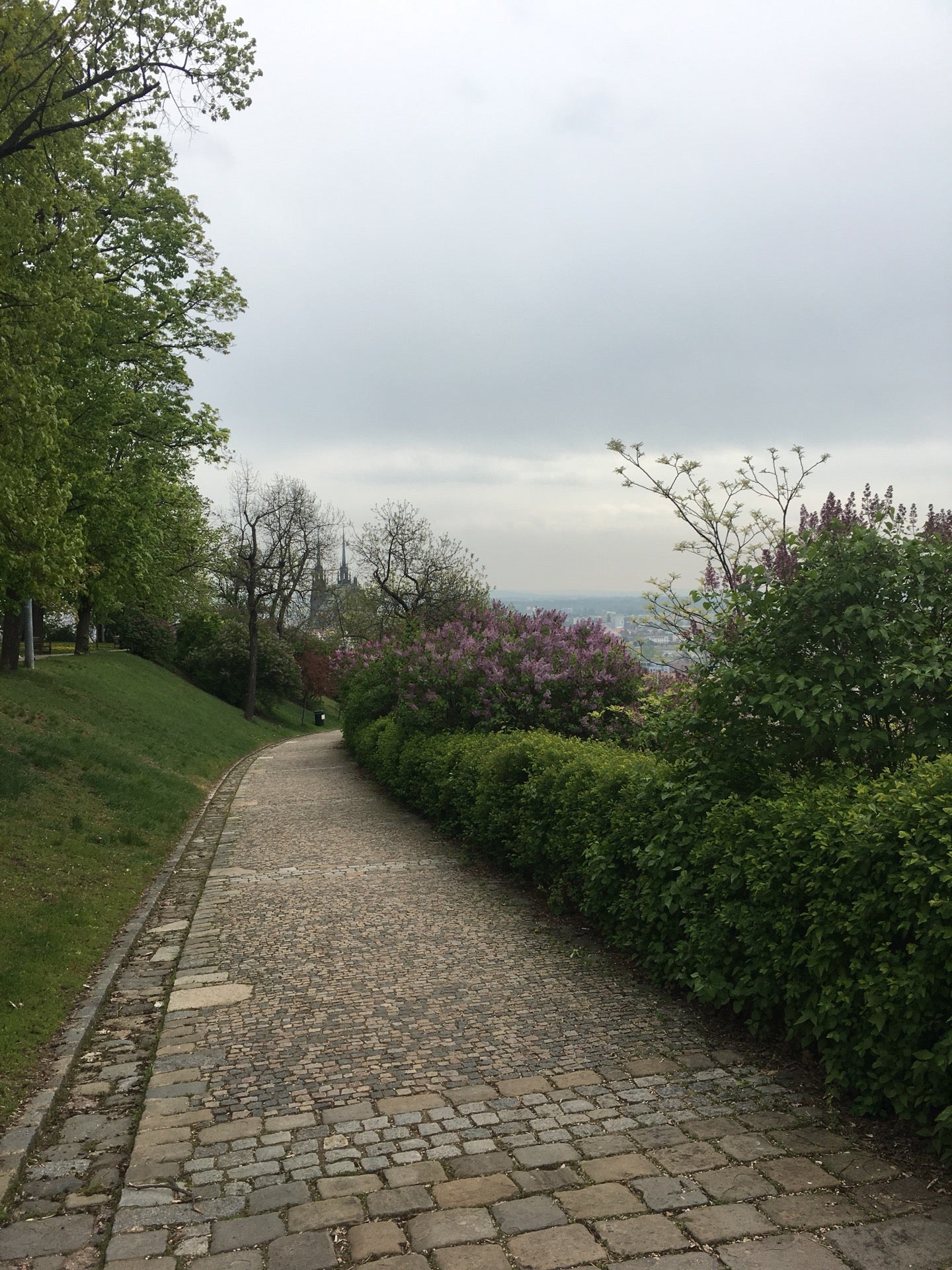 park