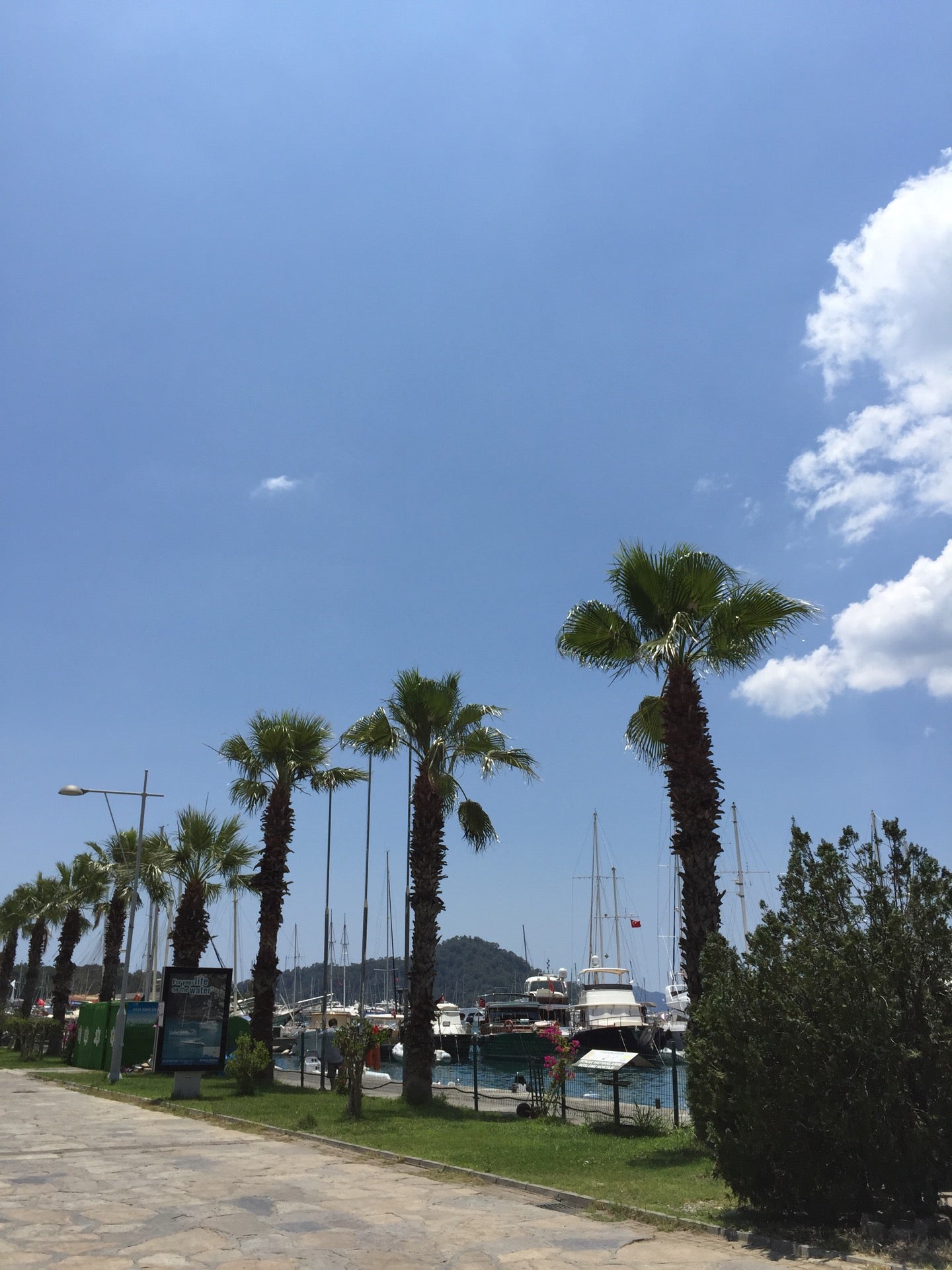 harbor-marina