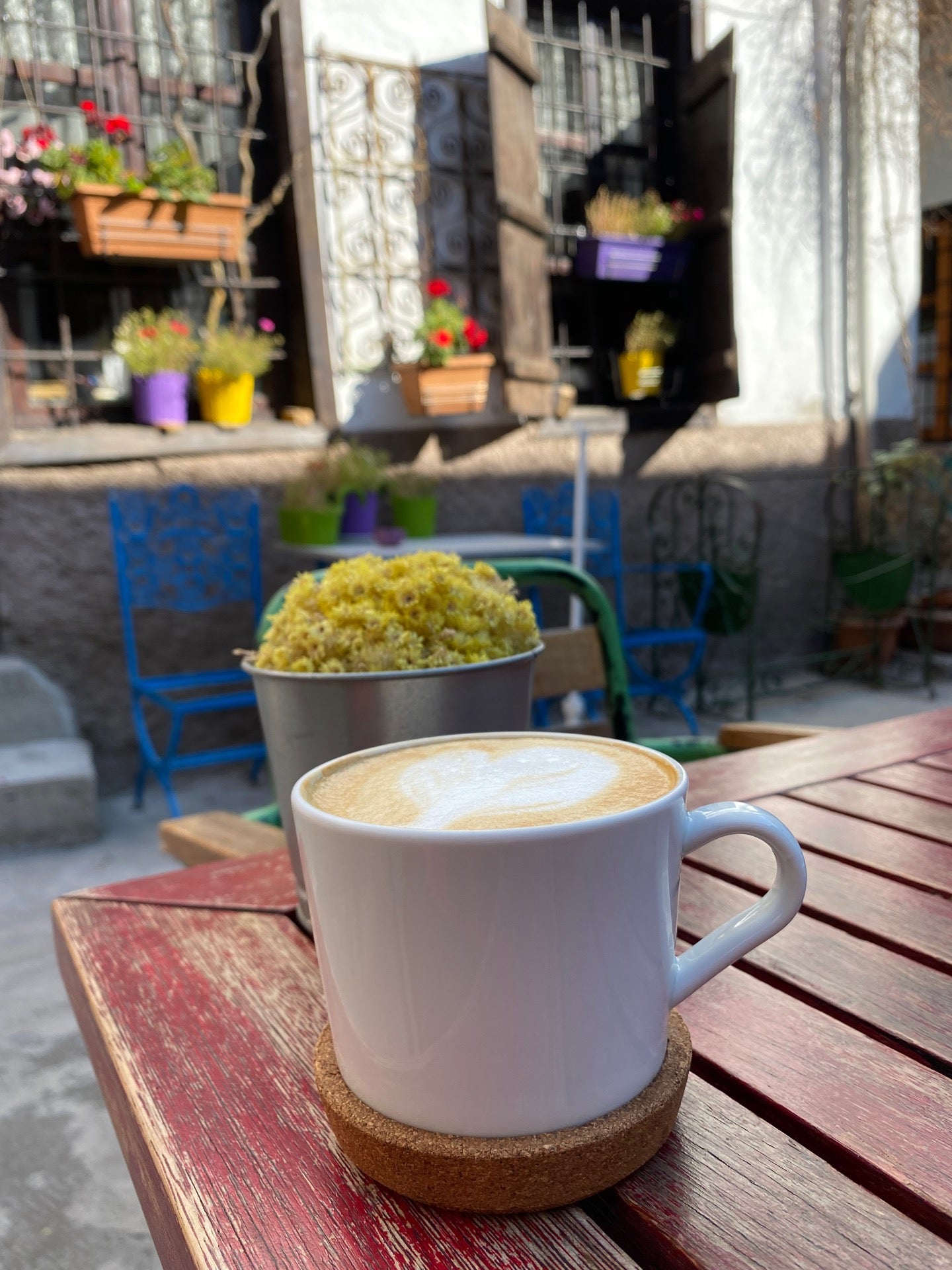 cafe