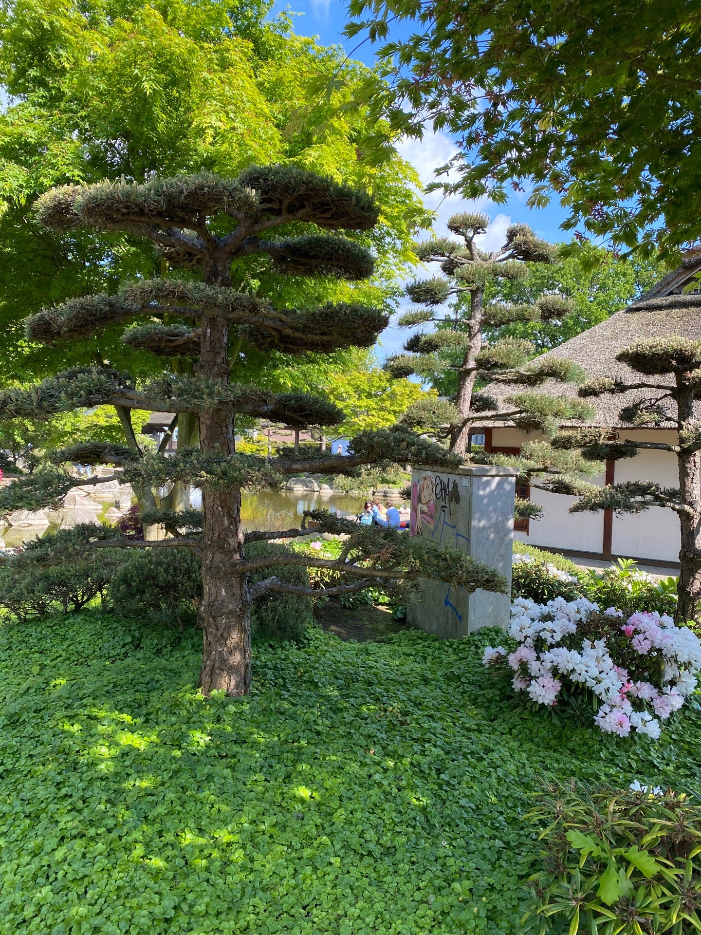 garden