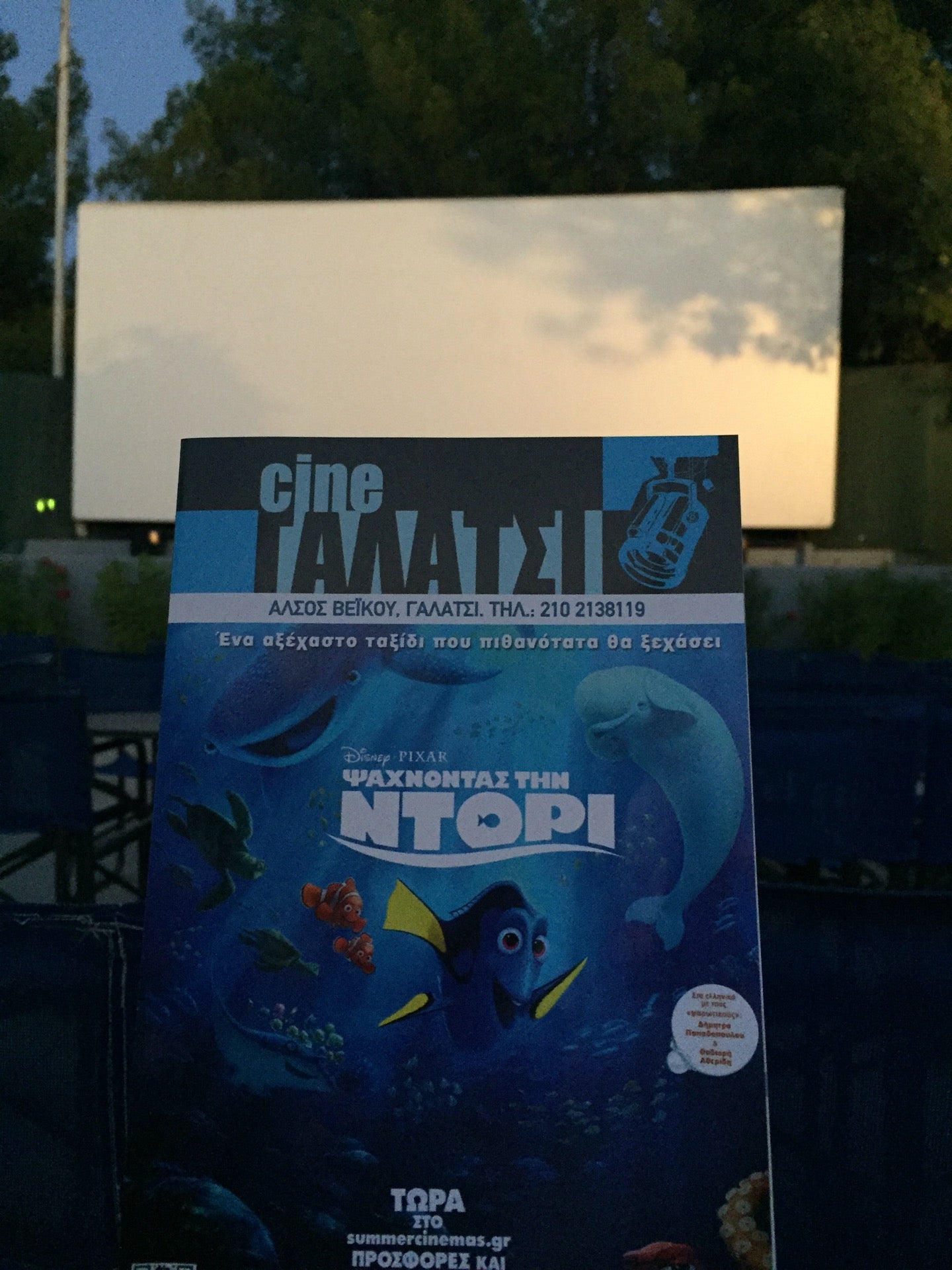 movie-theater