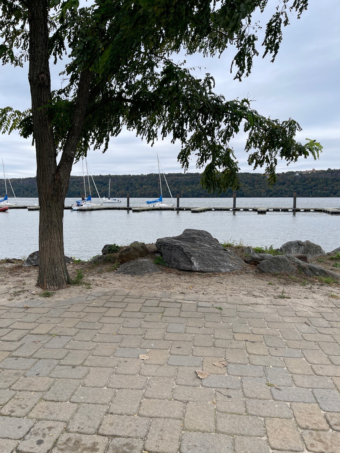 harbor-marina