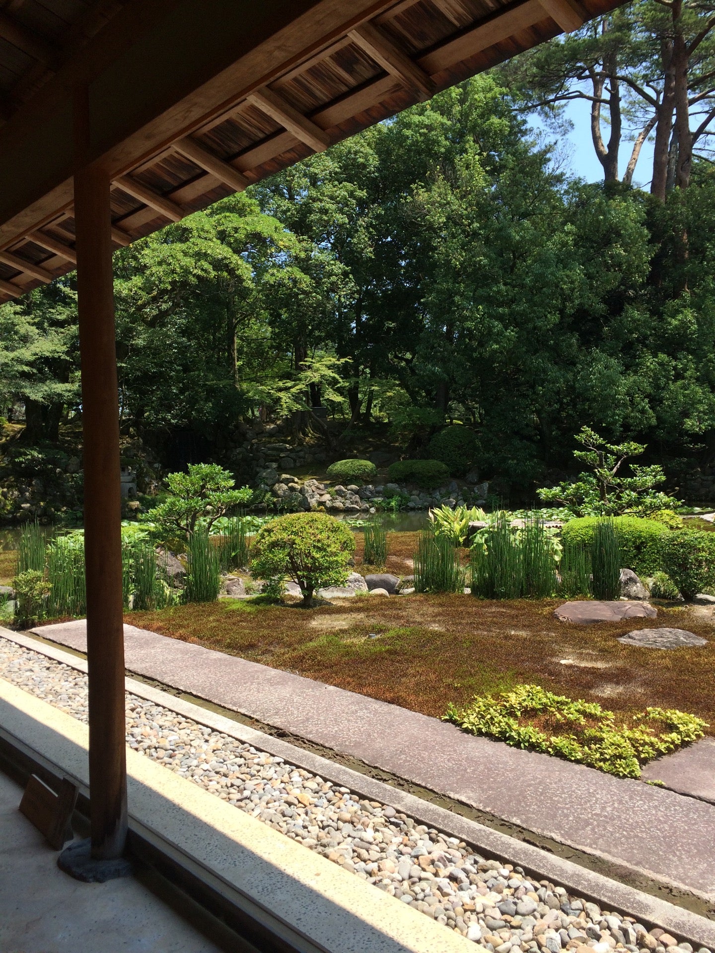 tea-room