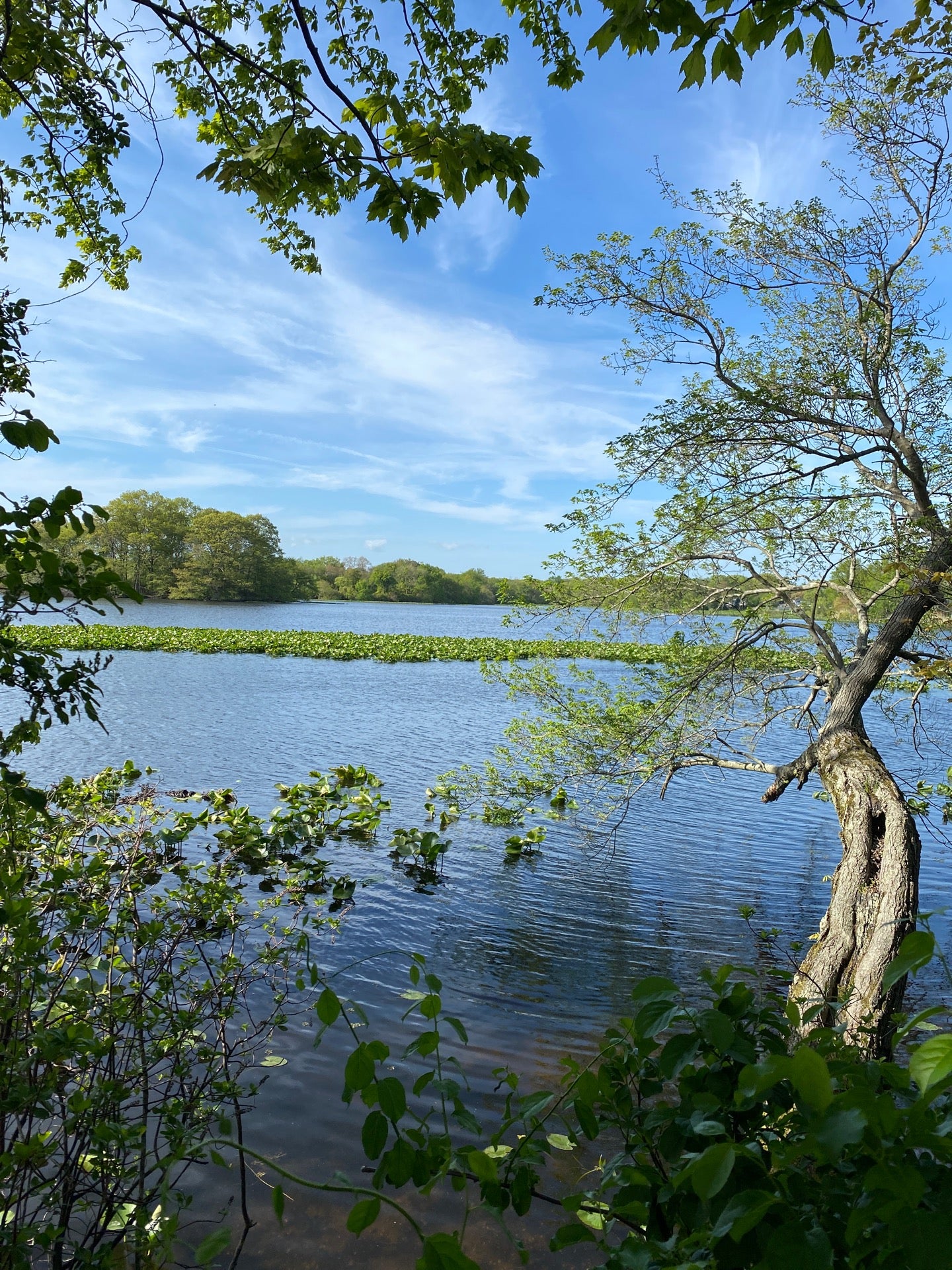nature-preserve