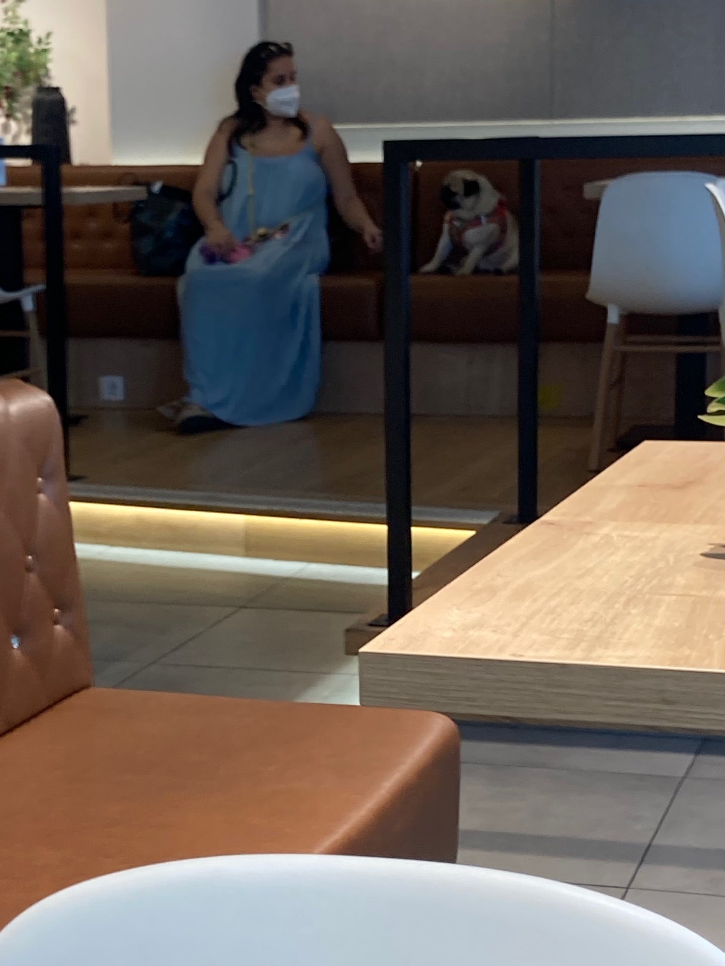 sandwich-place