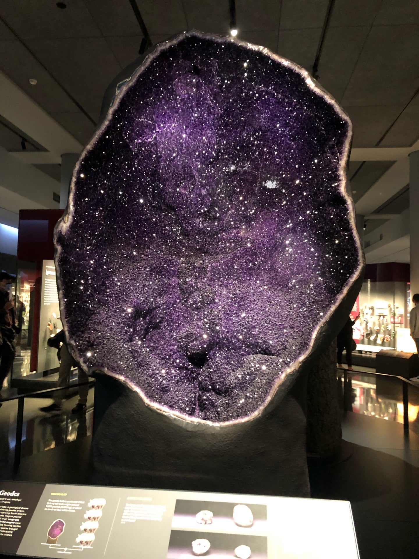 exhibit