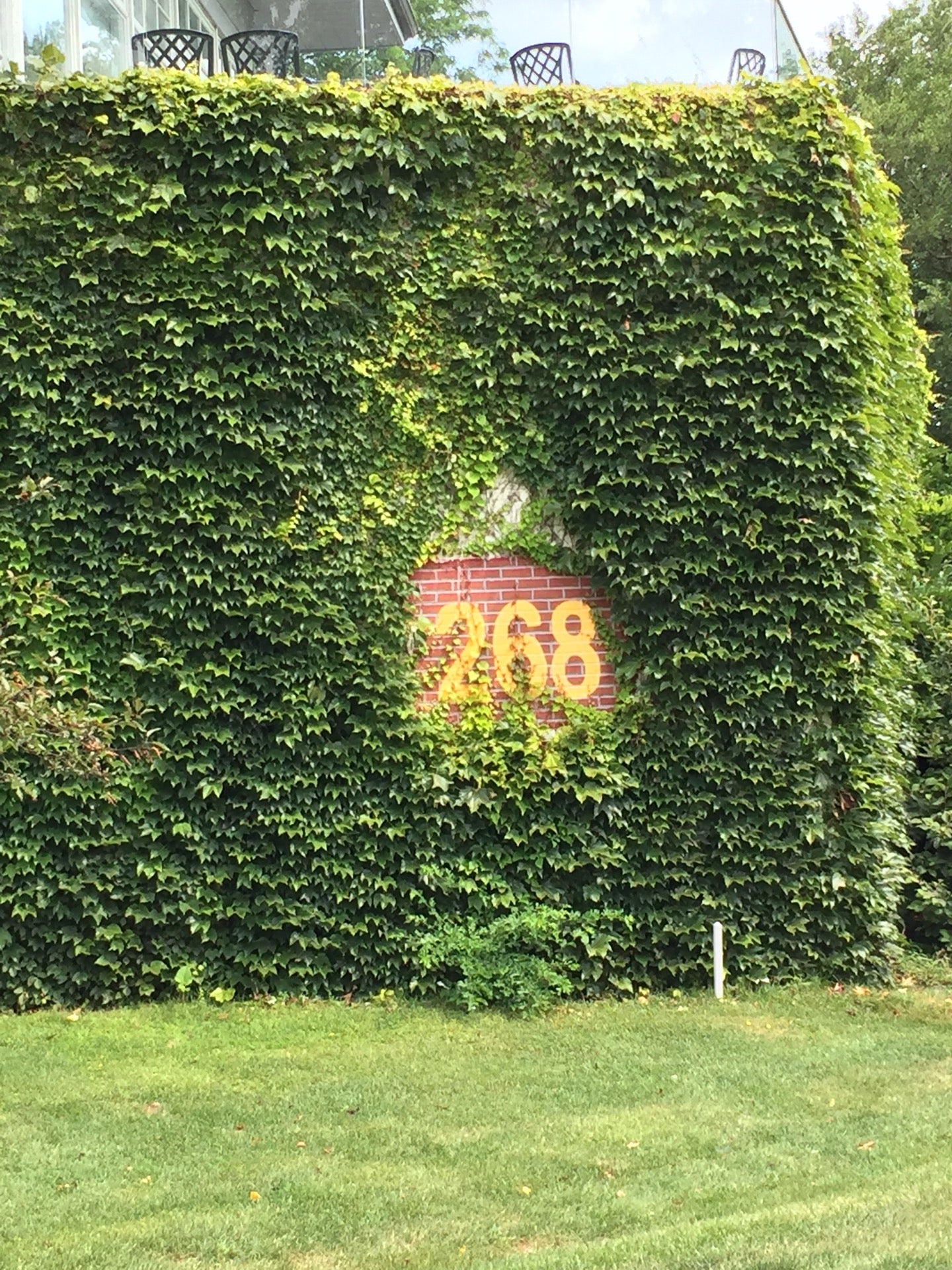 golf-course