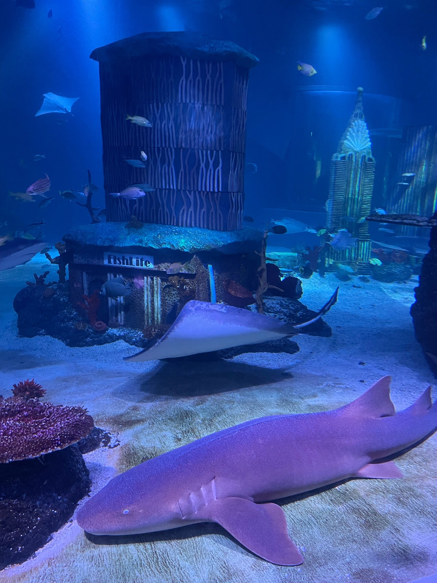 aquarium