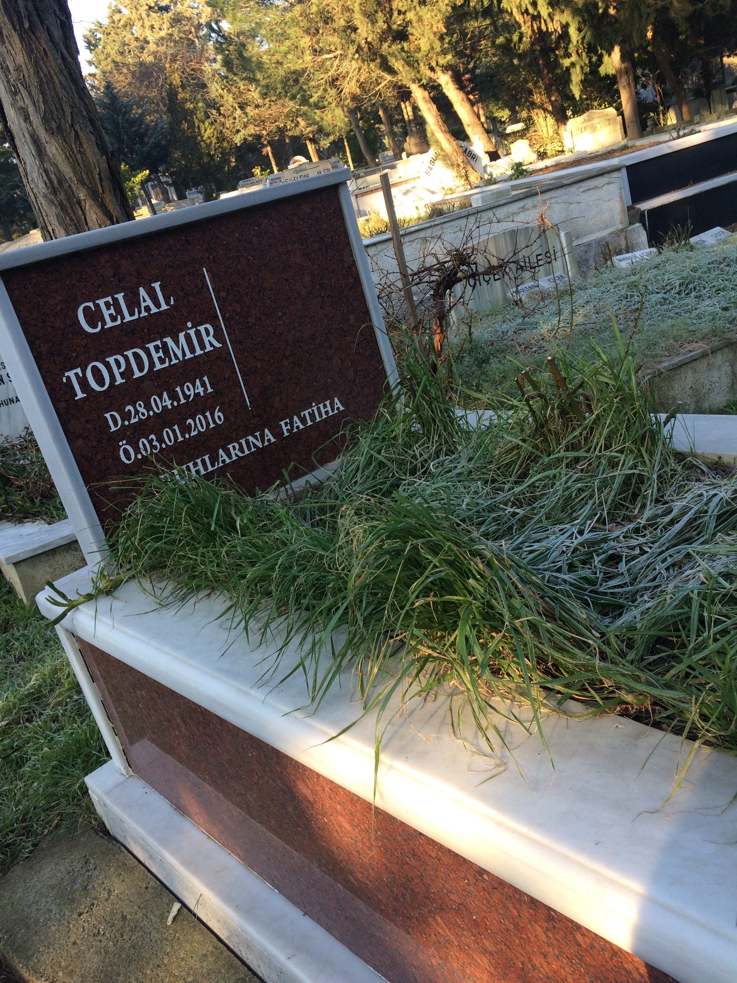 cemetery