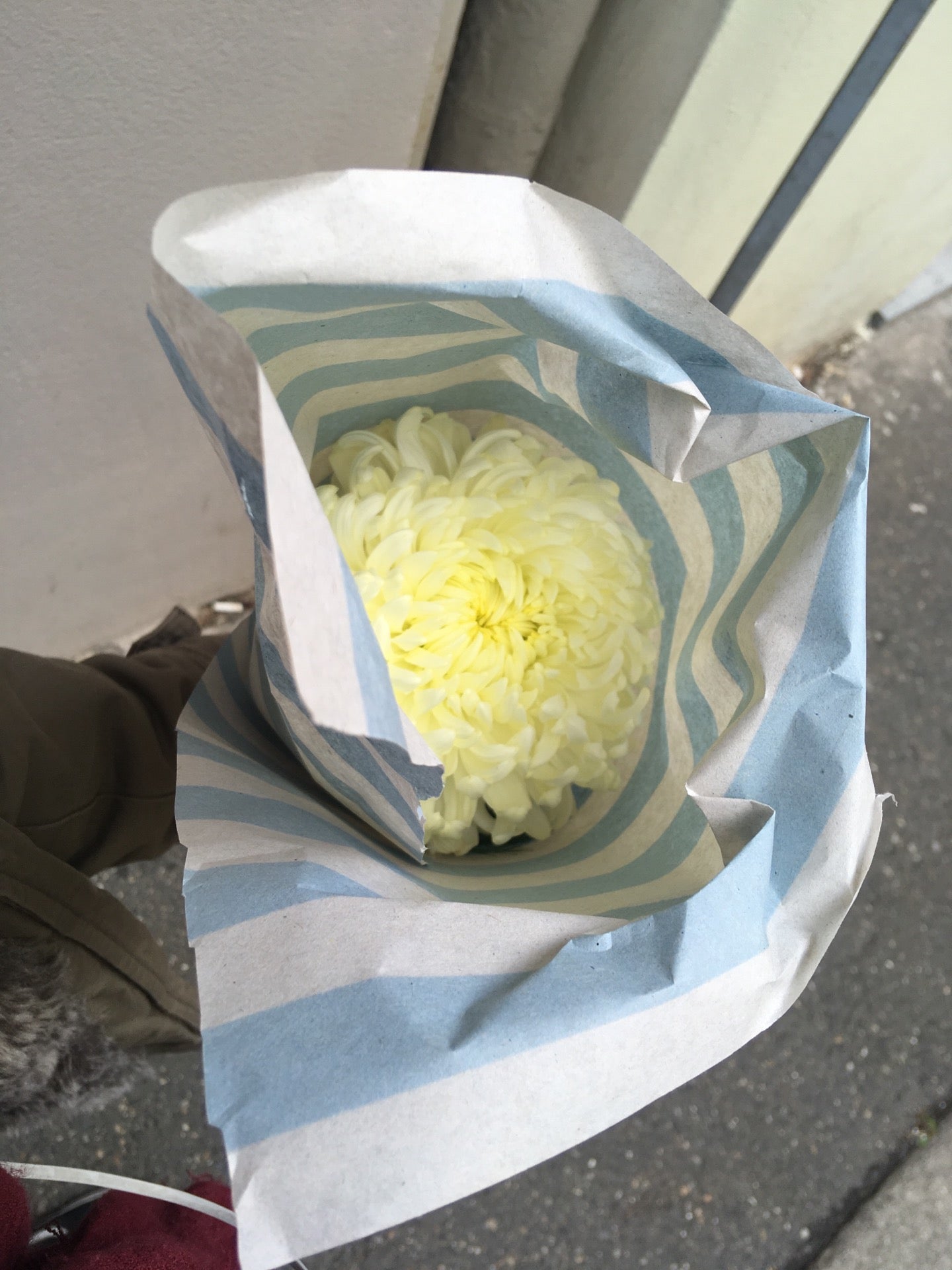 flower-shop
