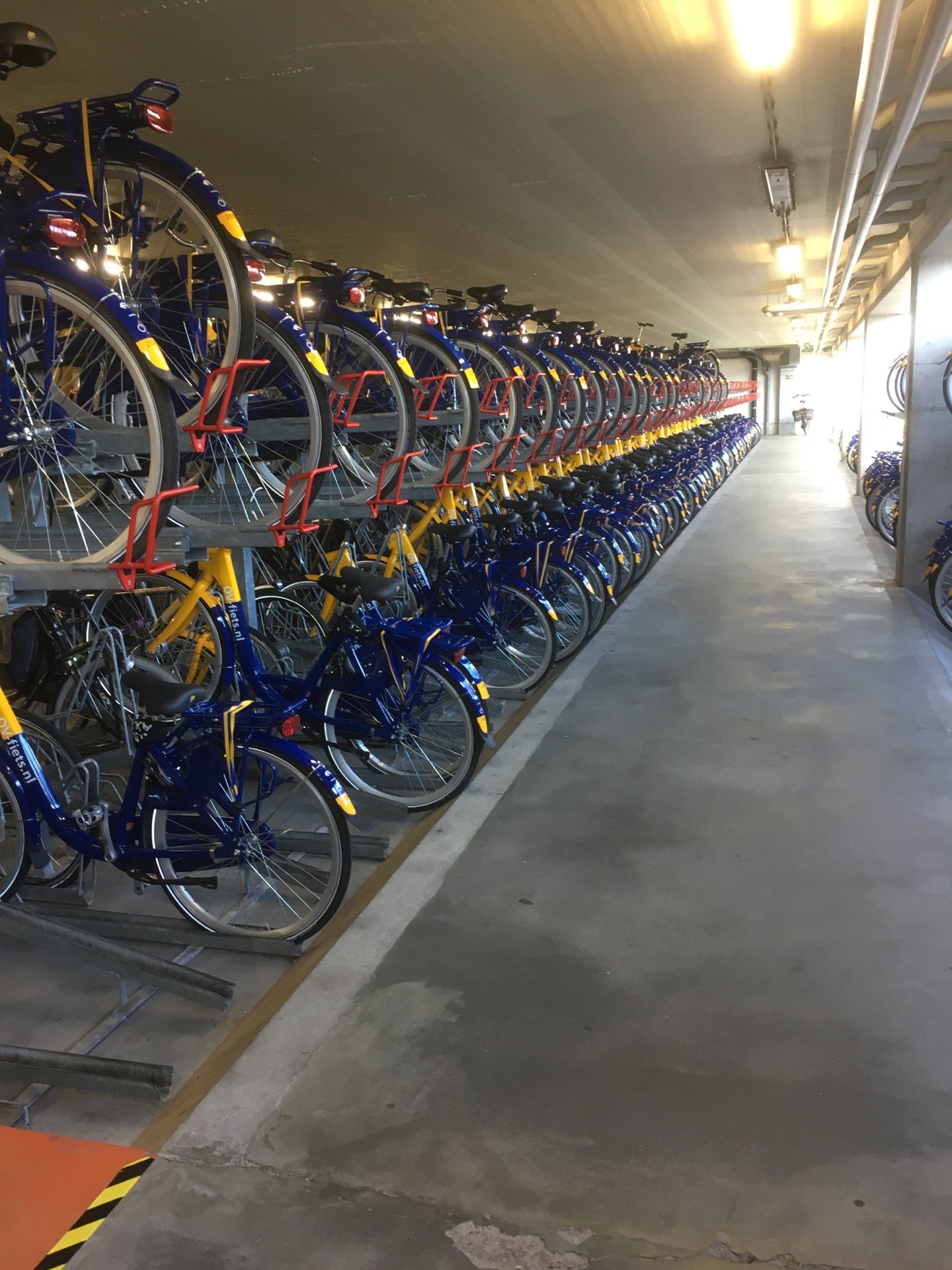 bike-rental-bike-share