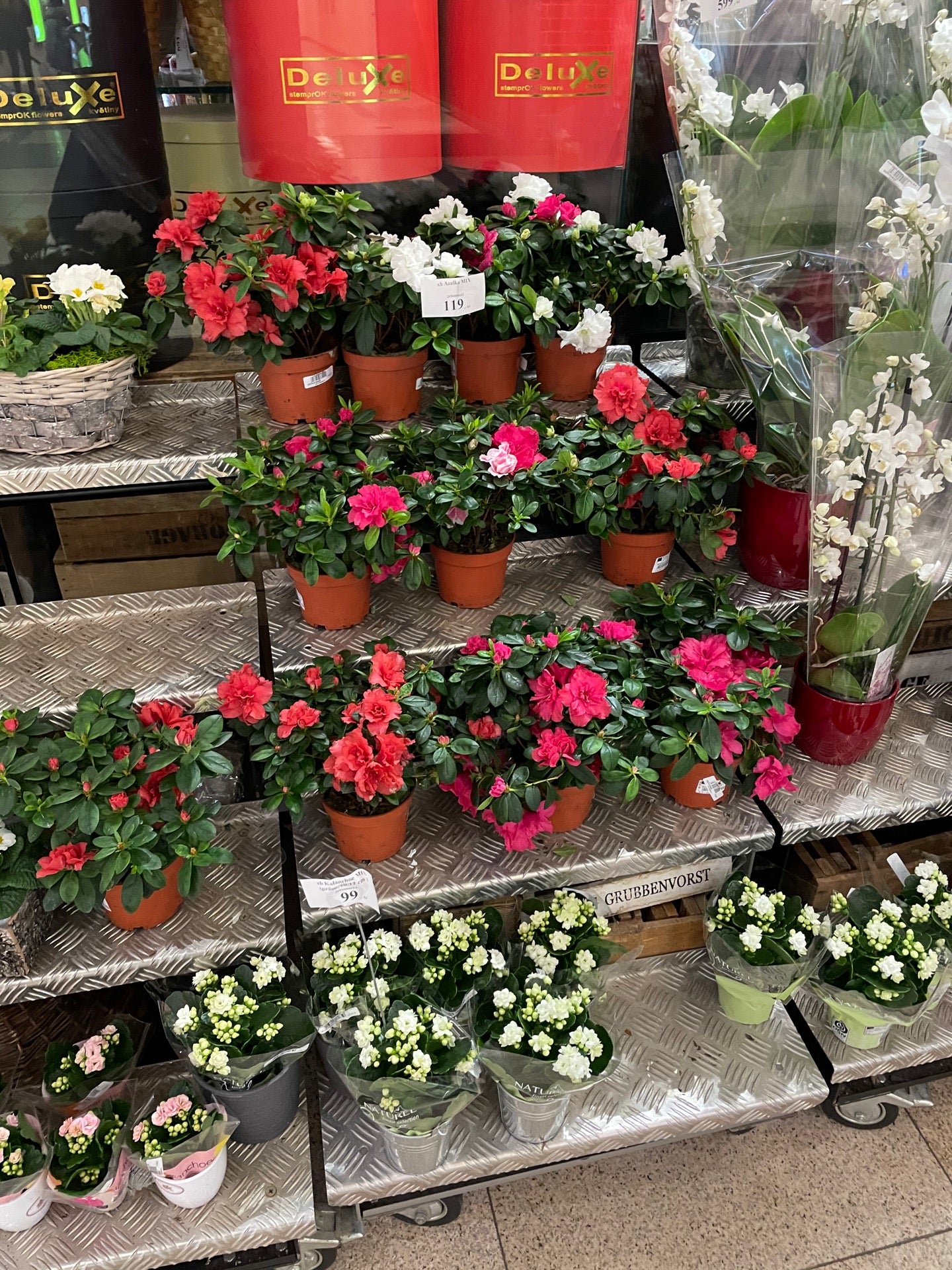 flower-shop