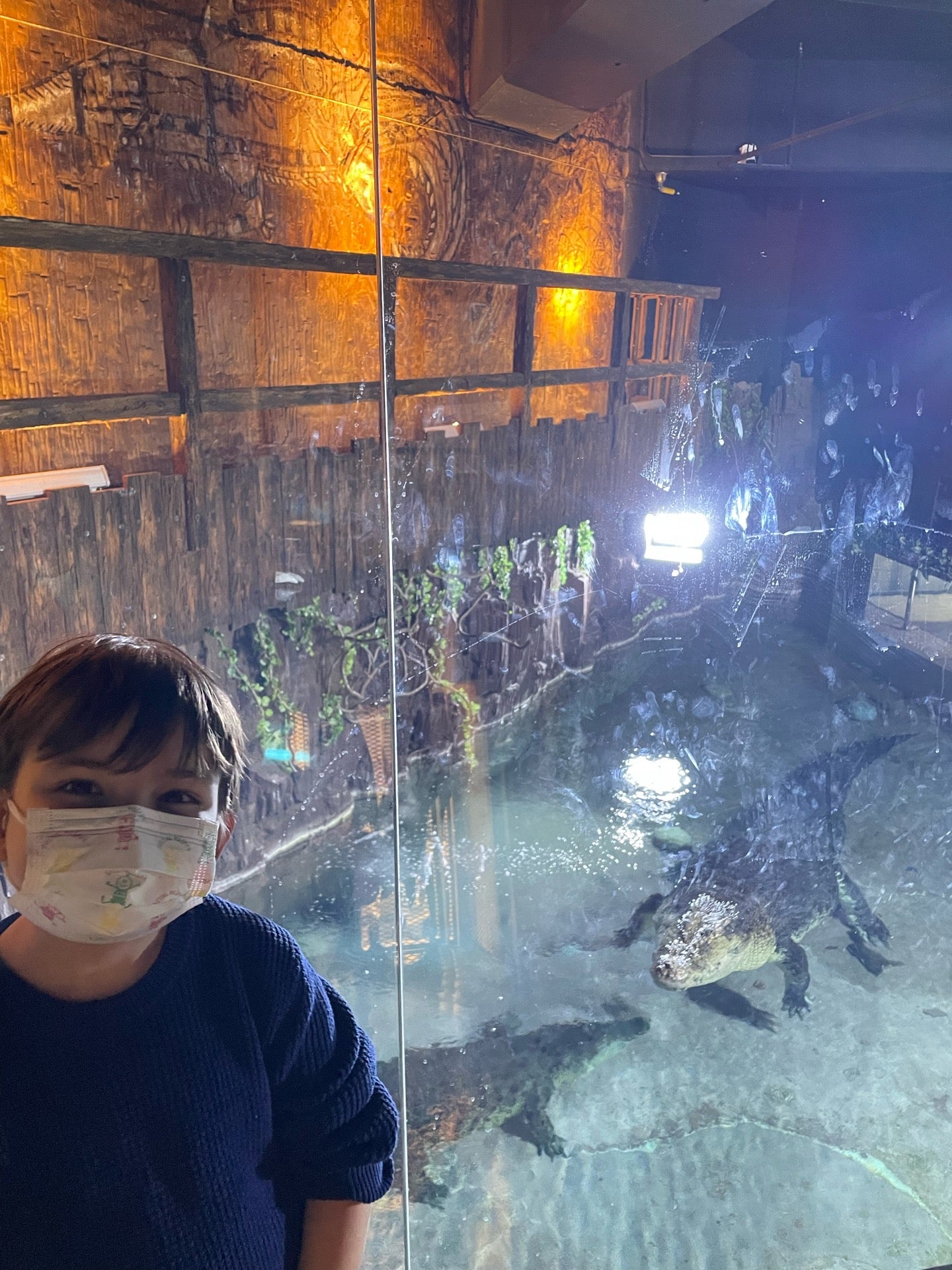 aquarium
