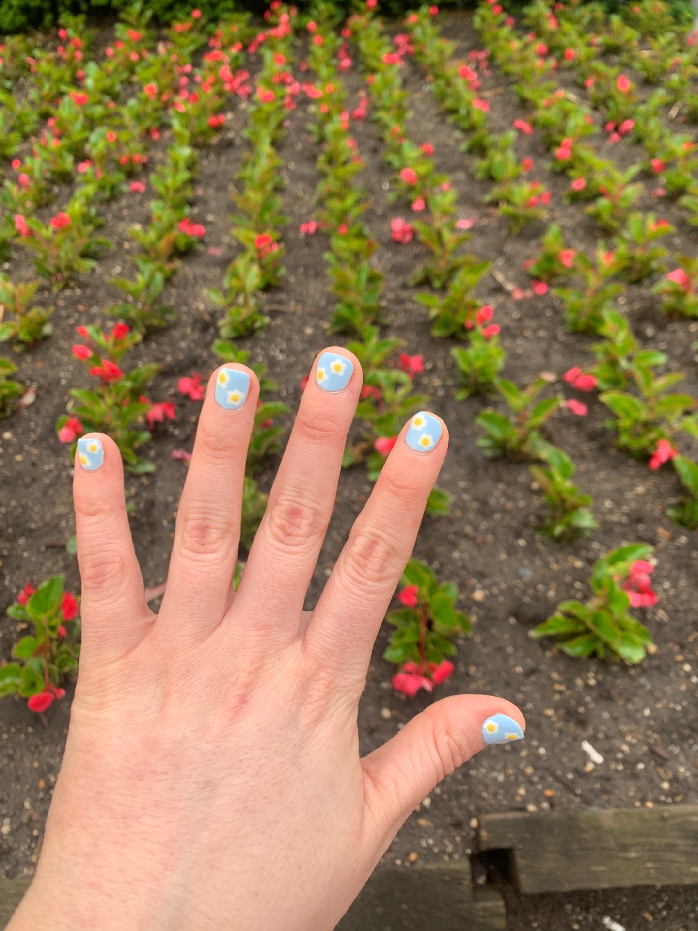 nail-salon