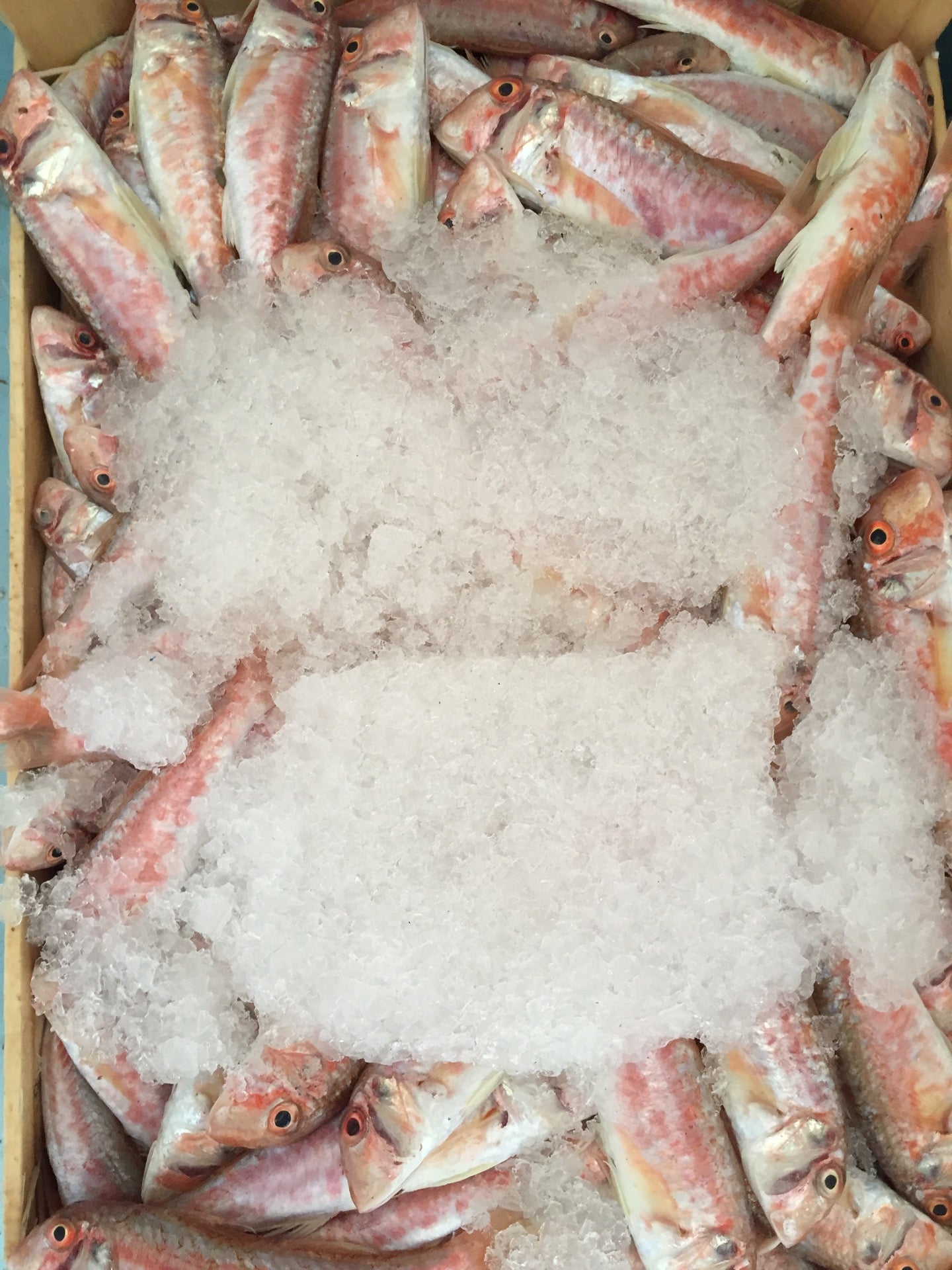 fish-market