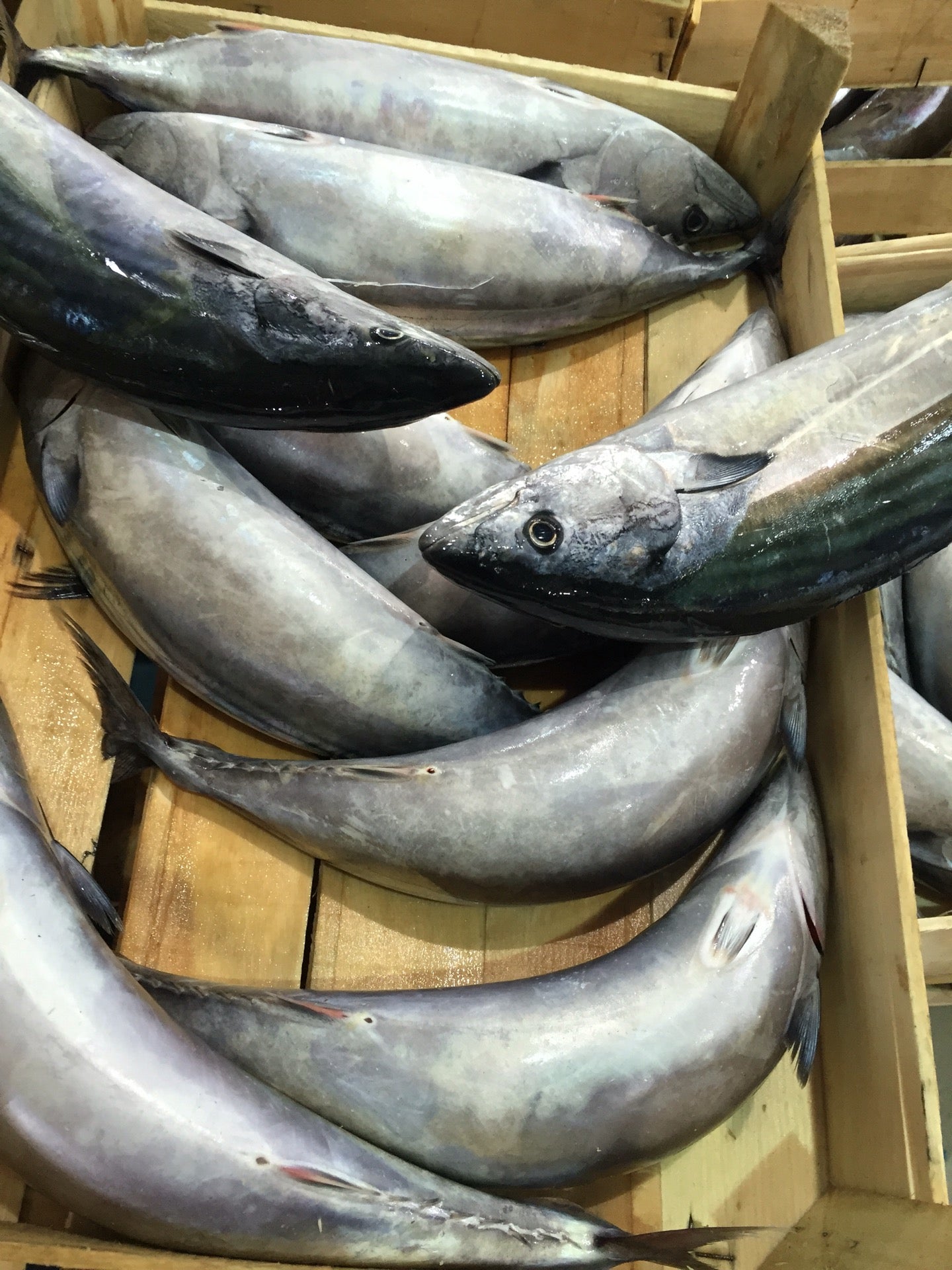 fish-market