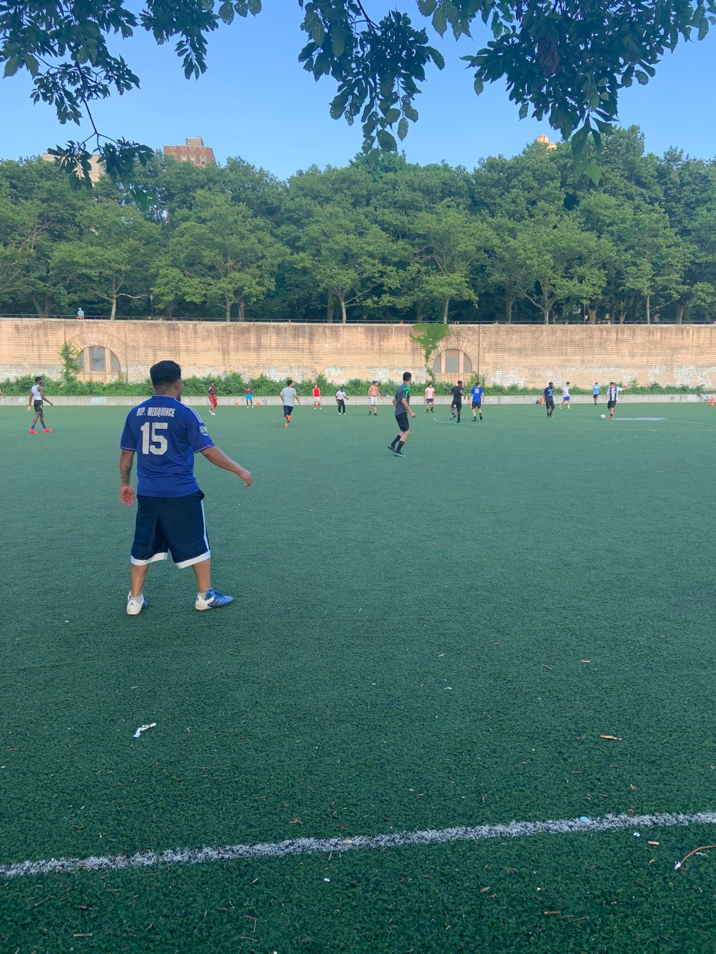 soccer-field