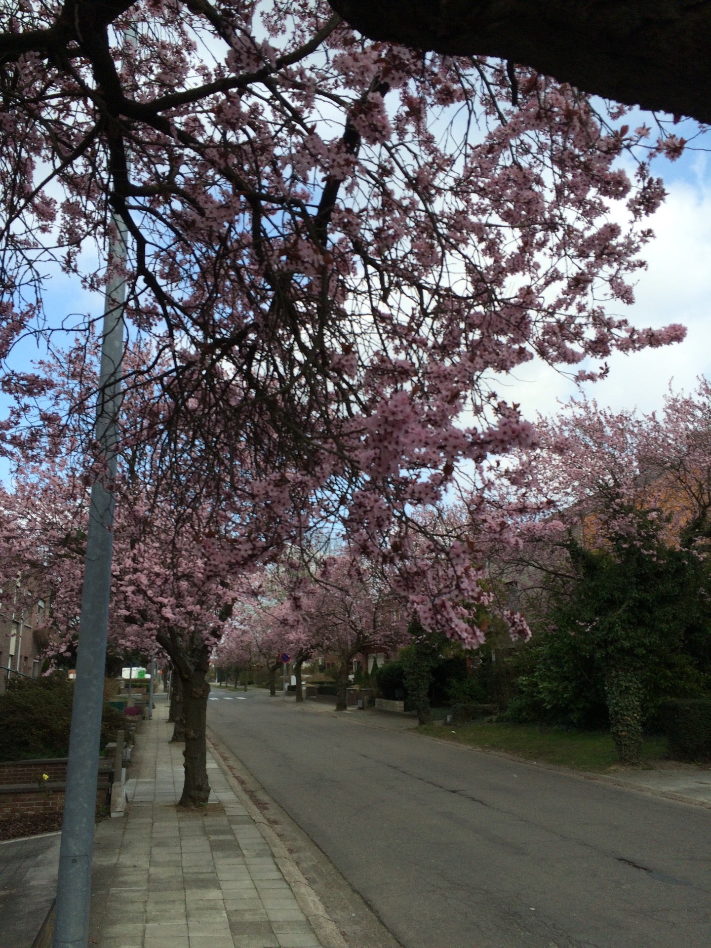 road