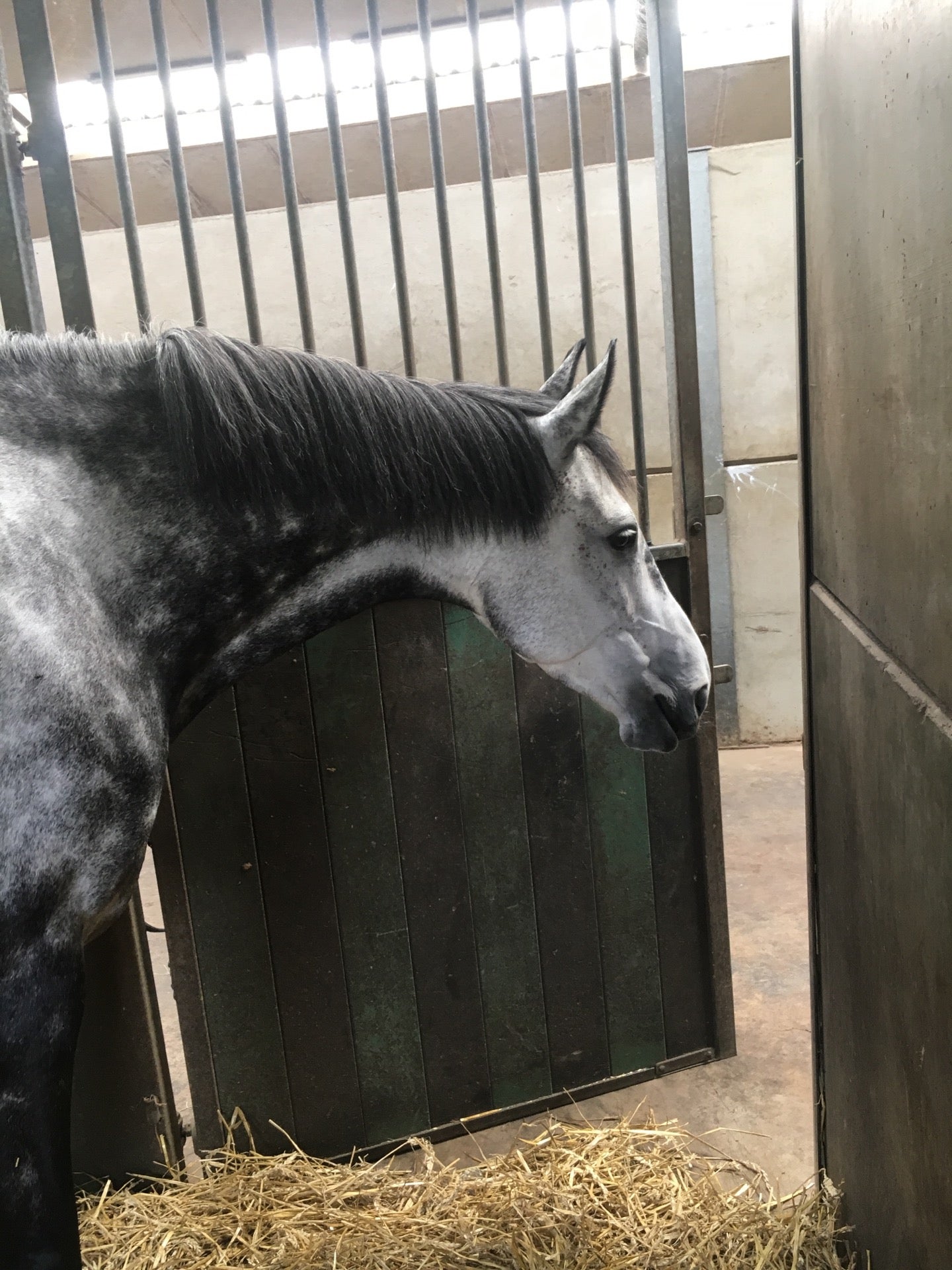 stables