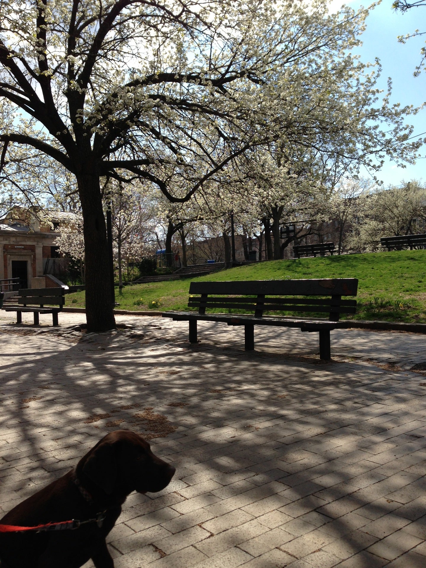 playground