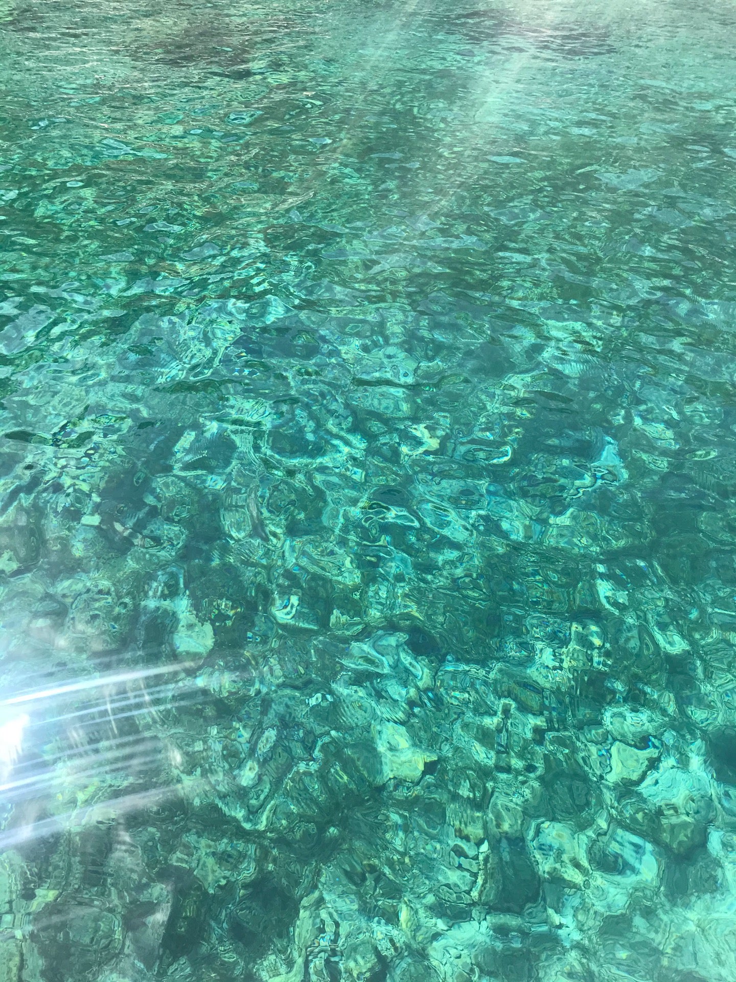 bay