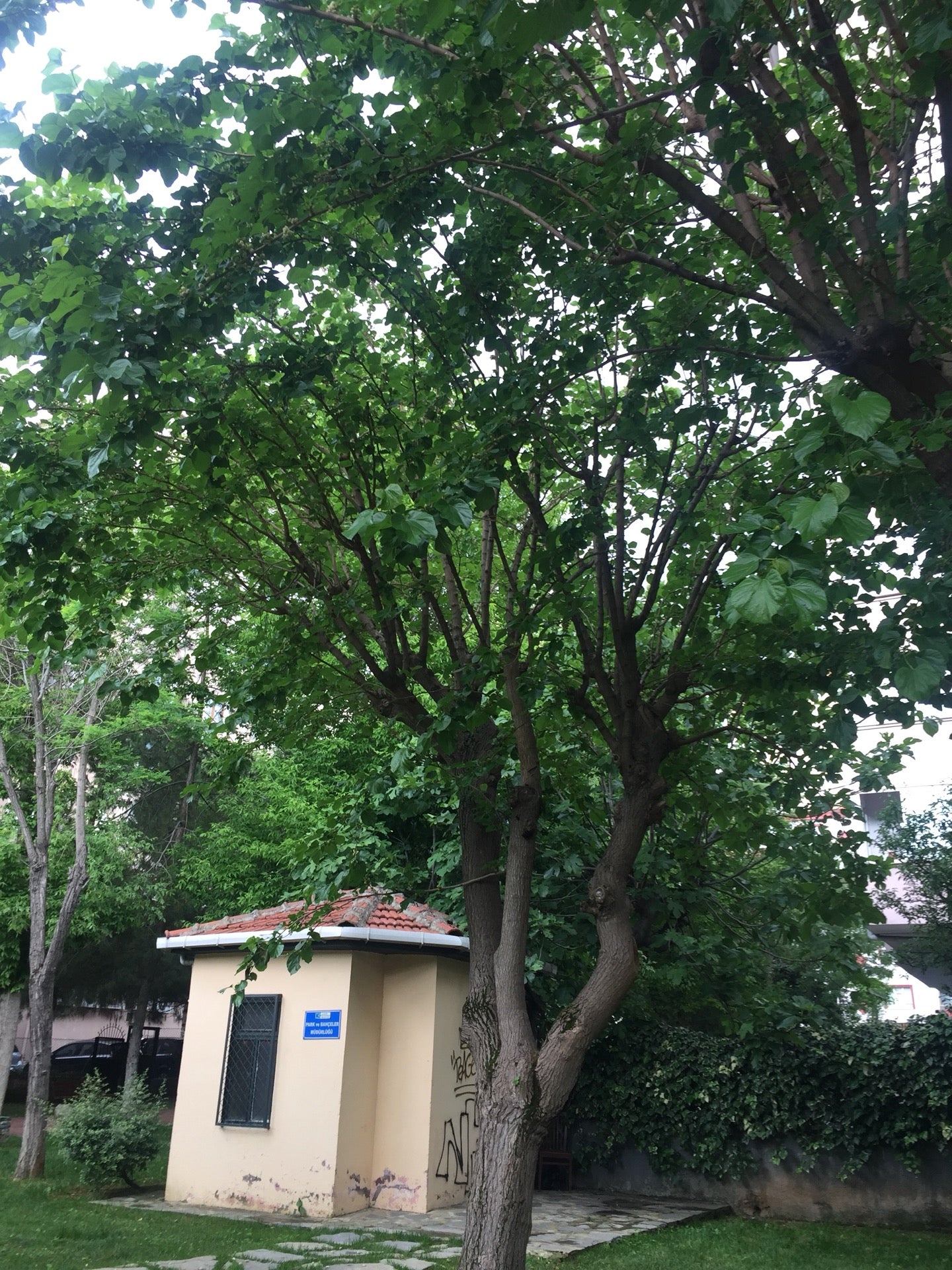 park