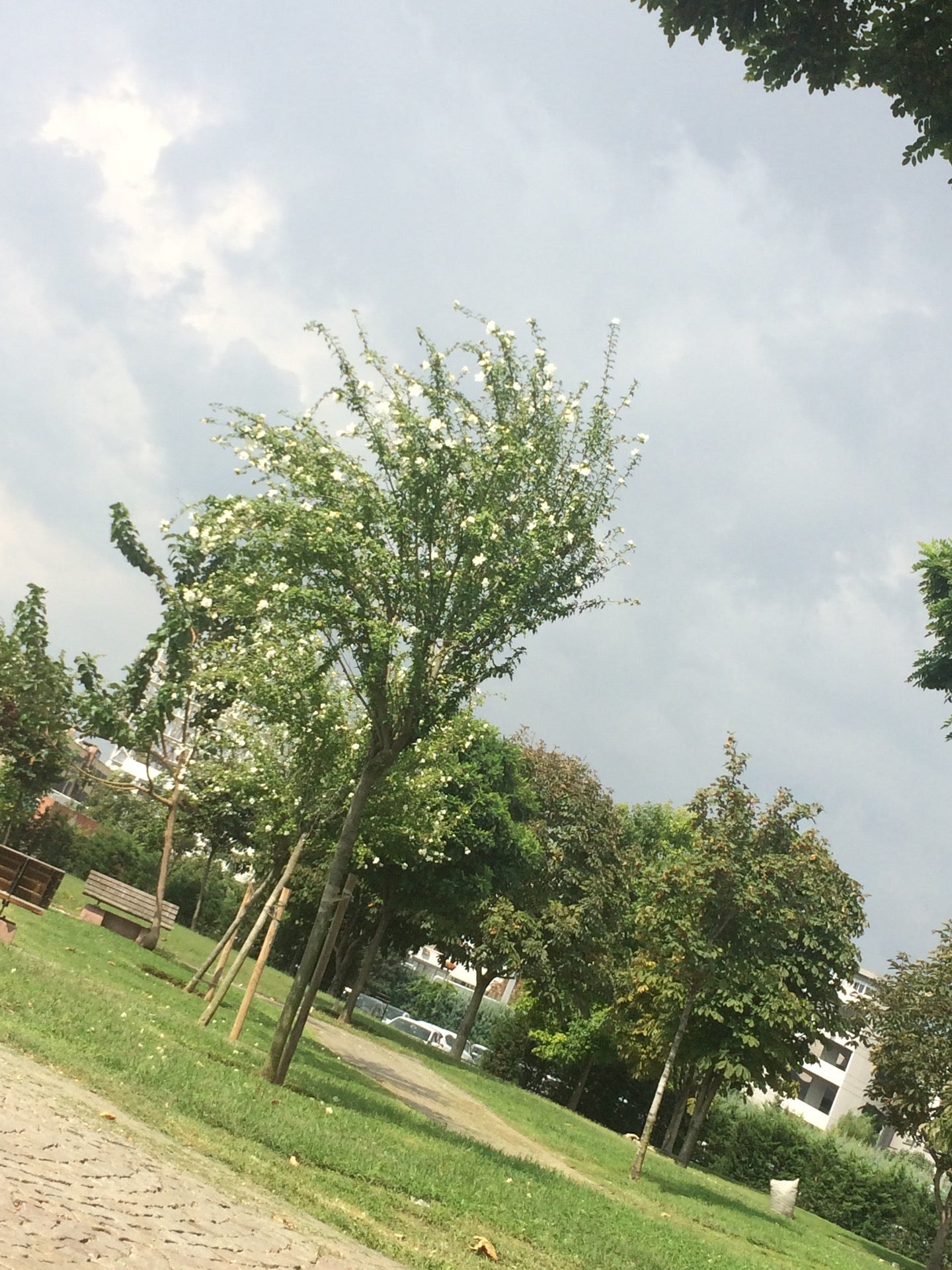 park