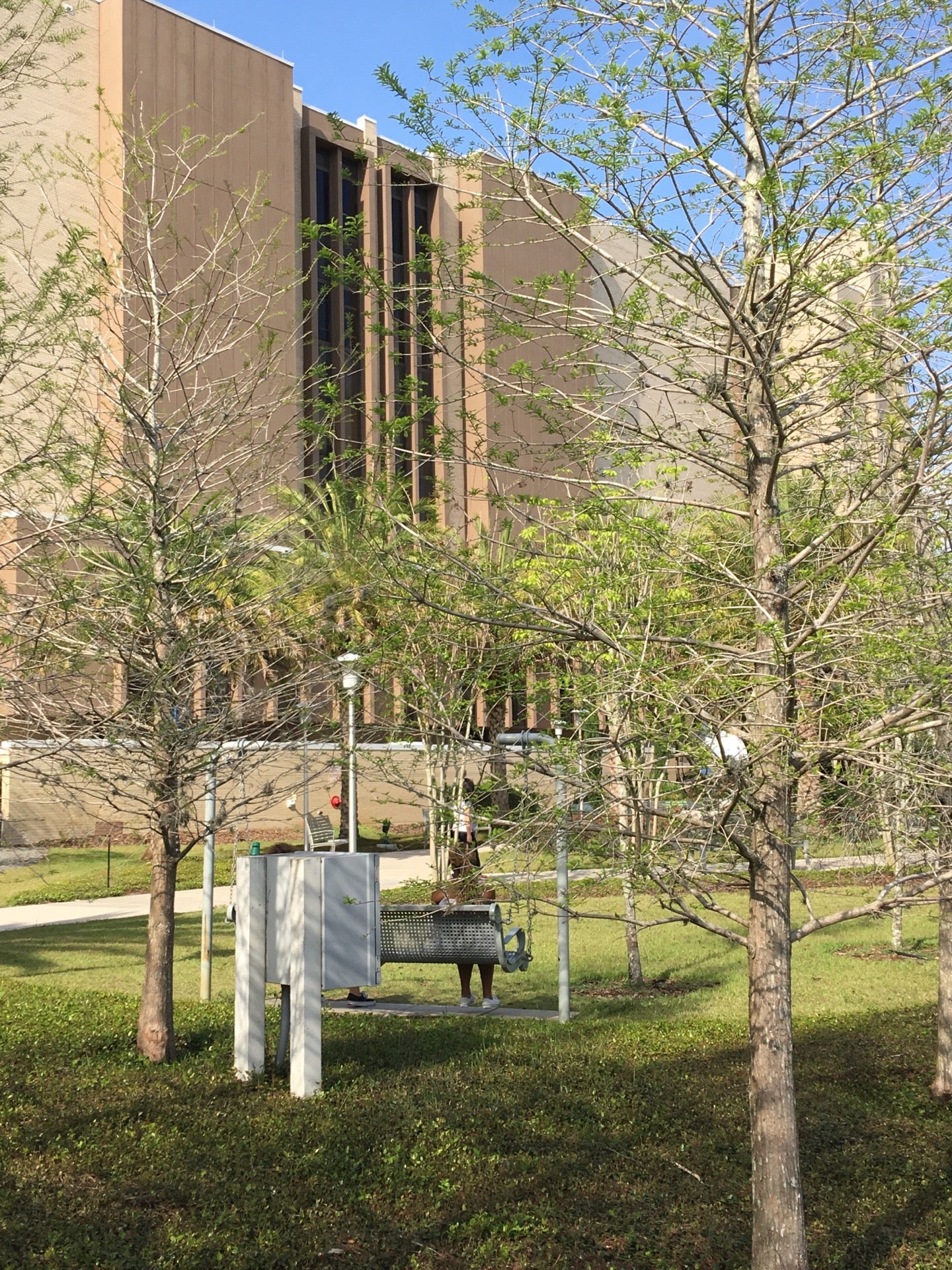 iq apartments usf on Embassy Suites Tampa Usf Hotel Near Busch Gardens Rooms