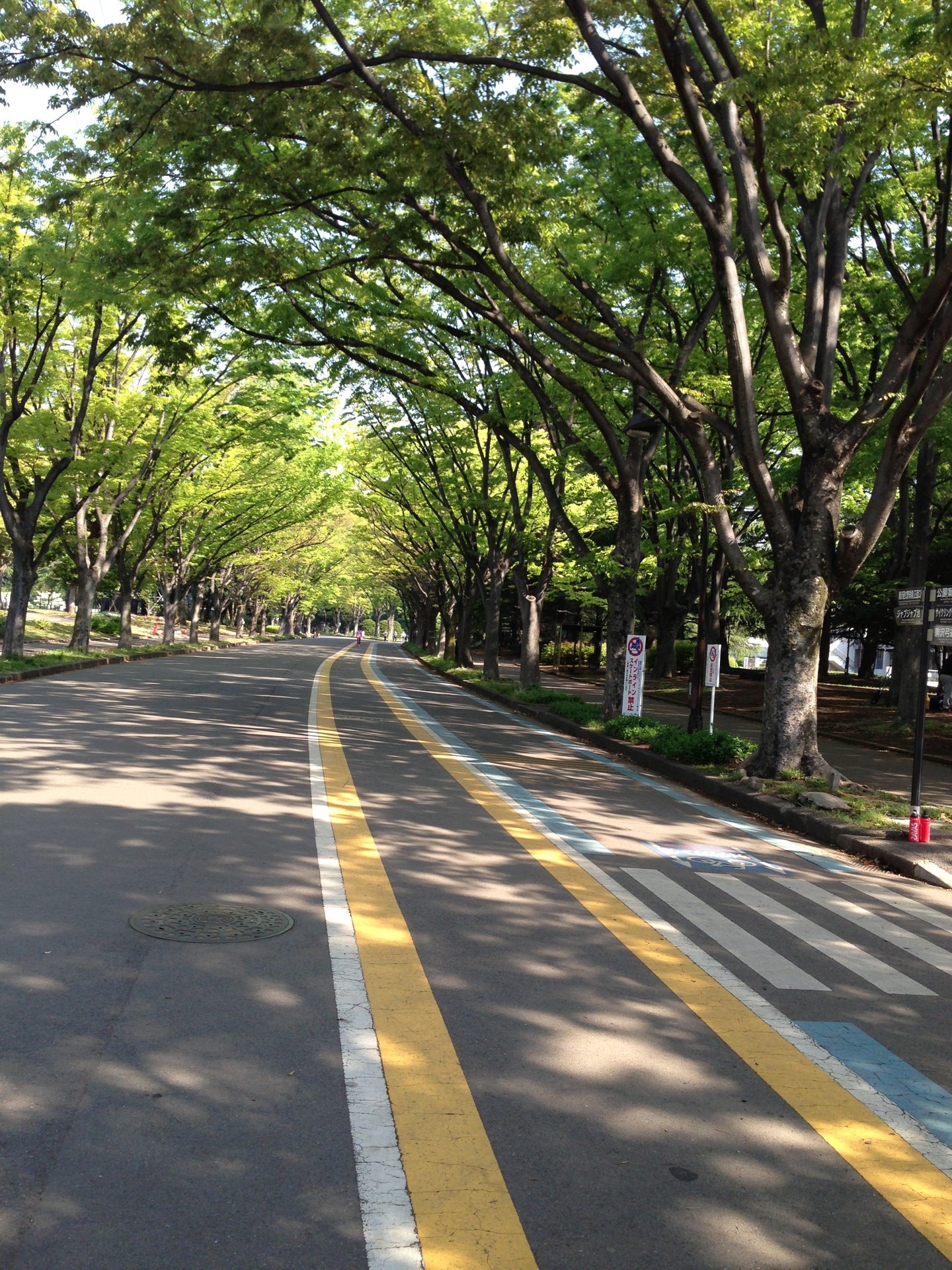 track
