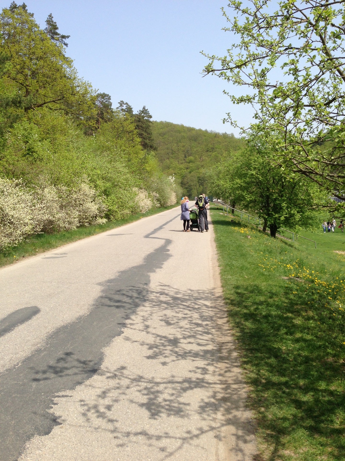 other-great-outdoors