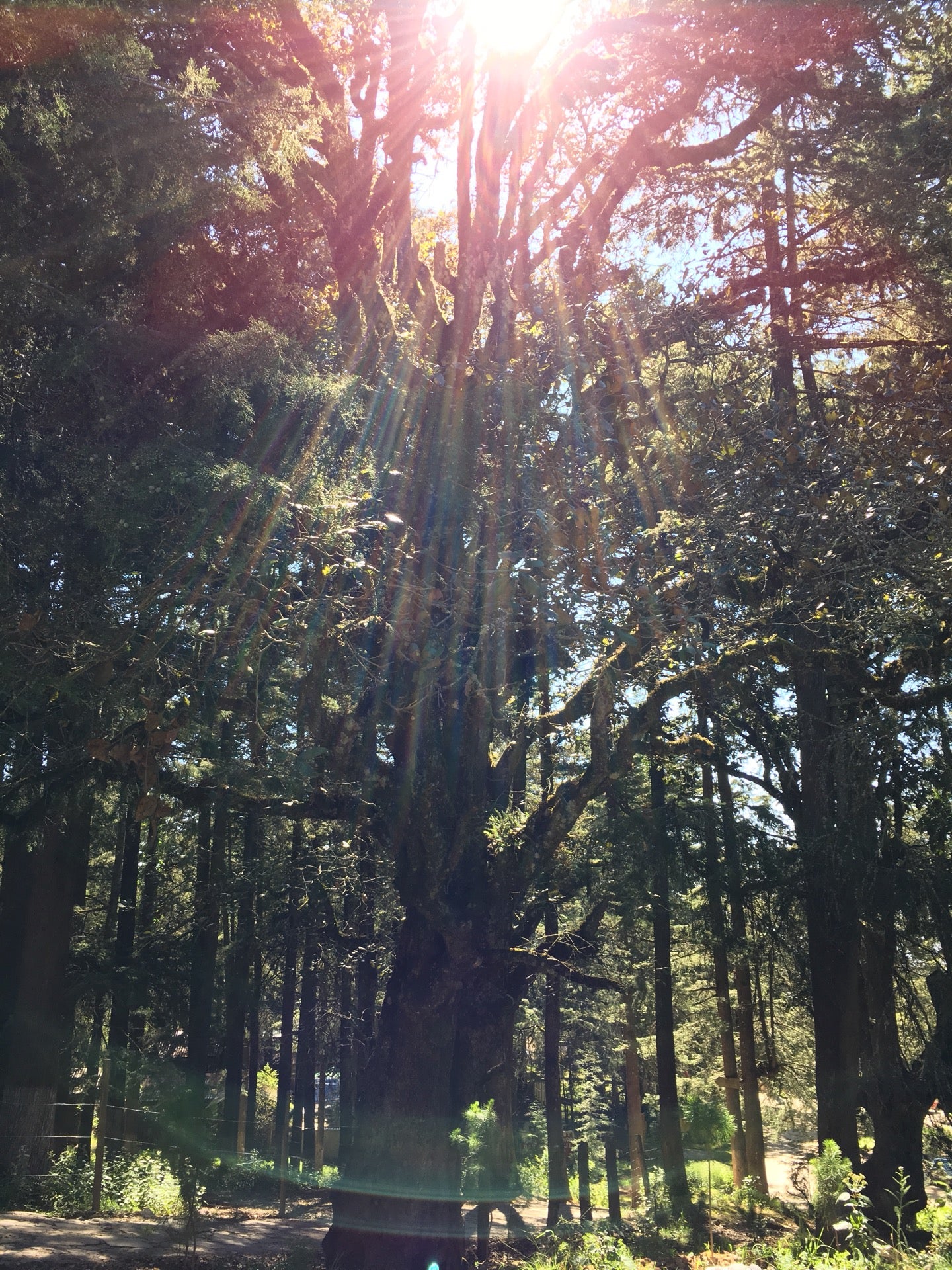 other-great-outdoors