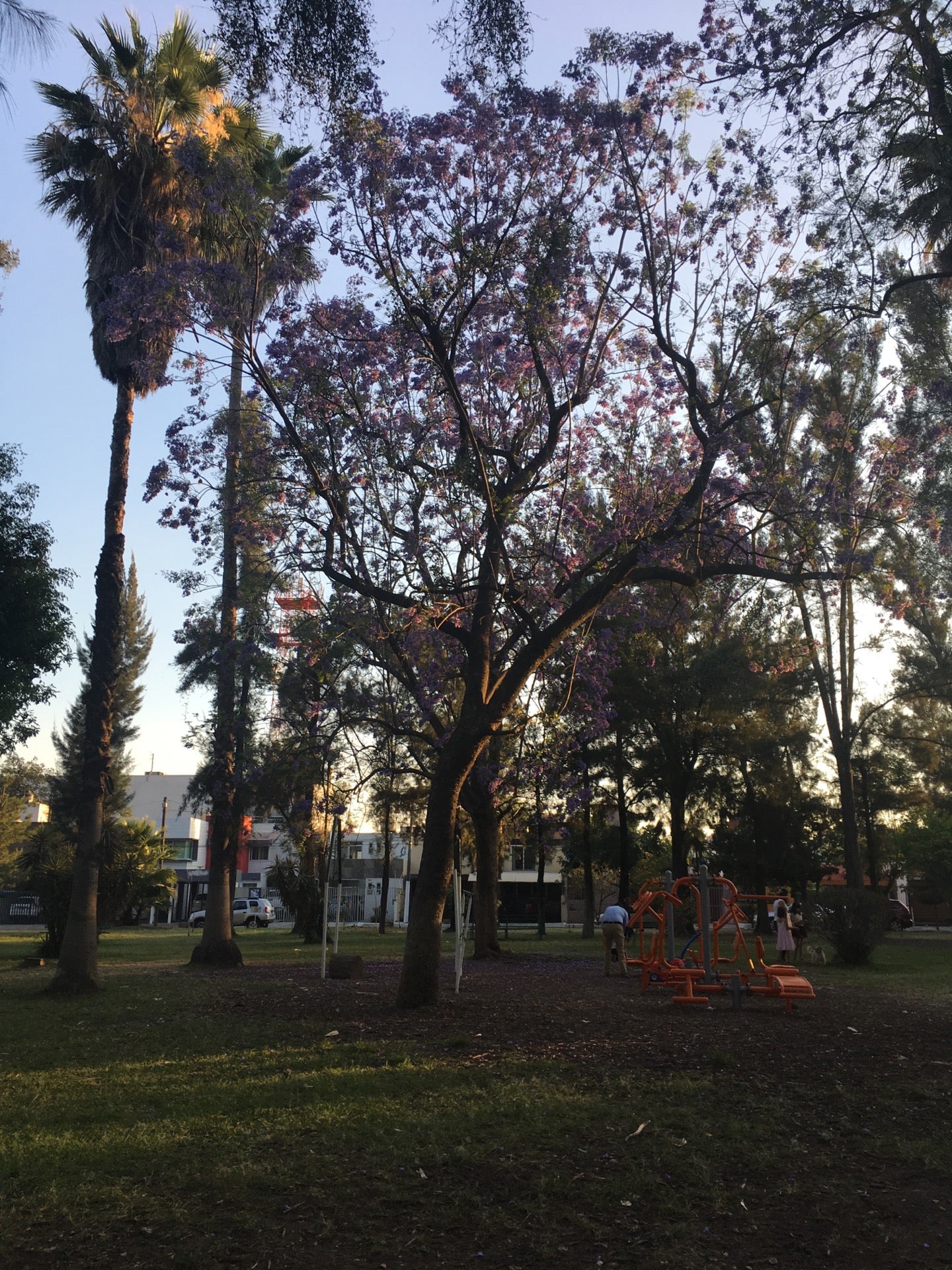 park