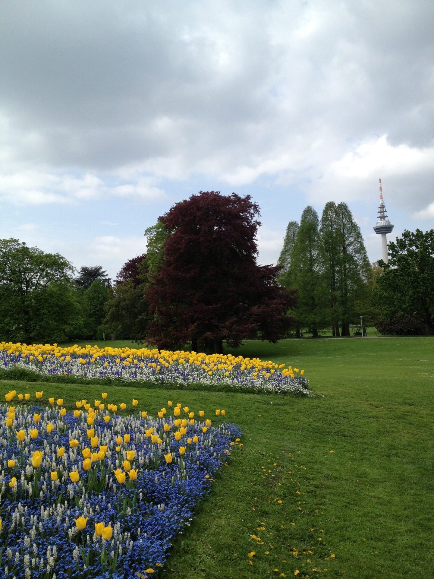 park