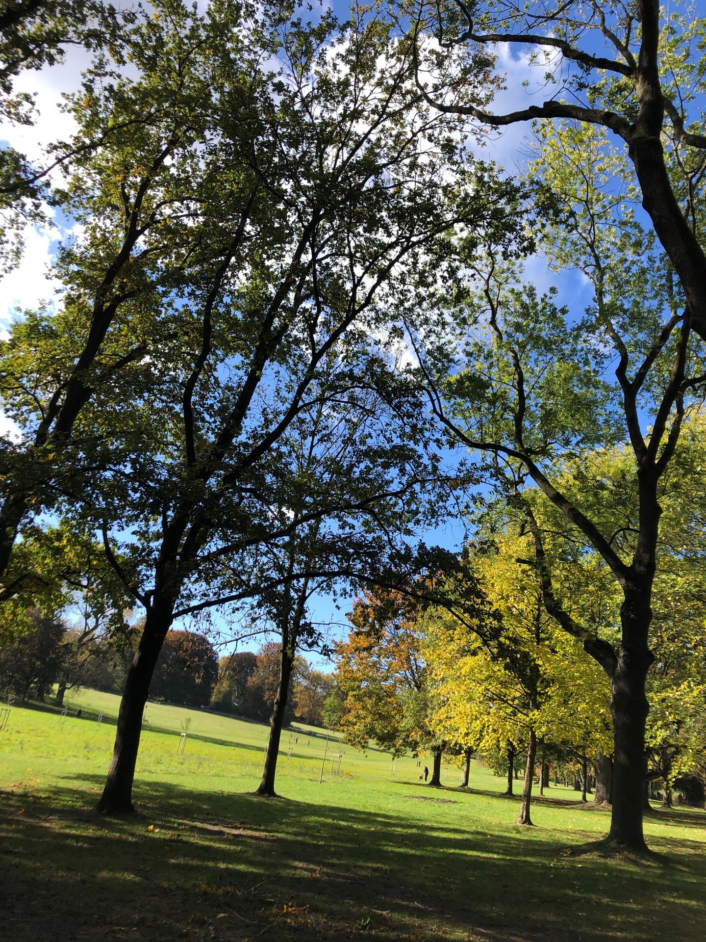 park