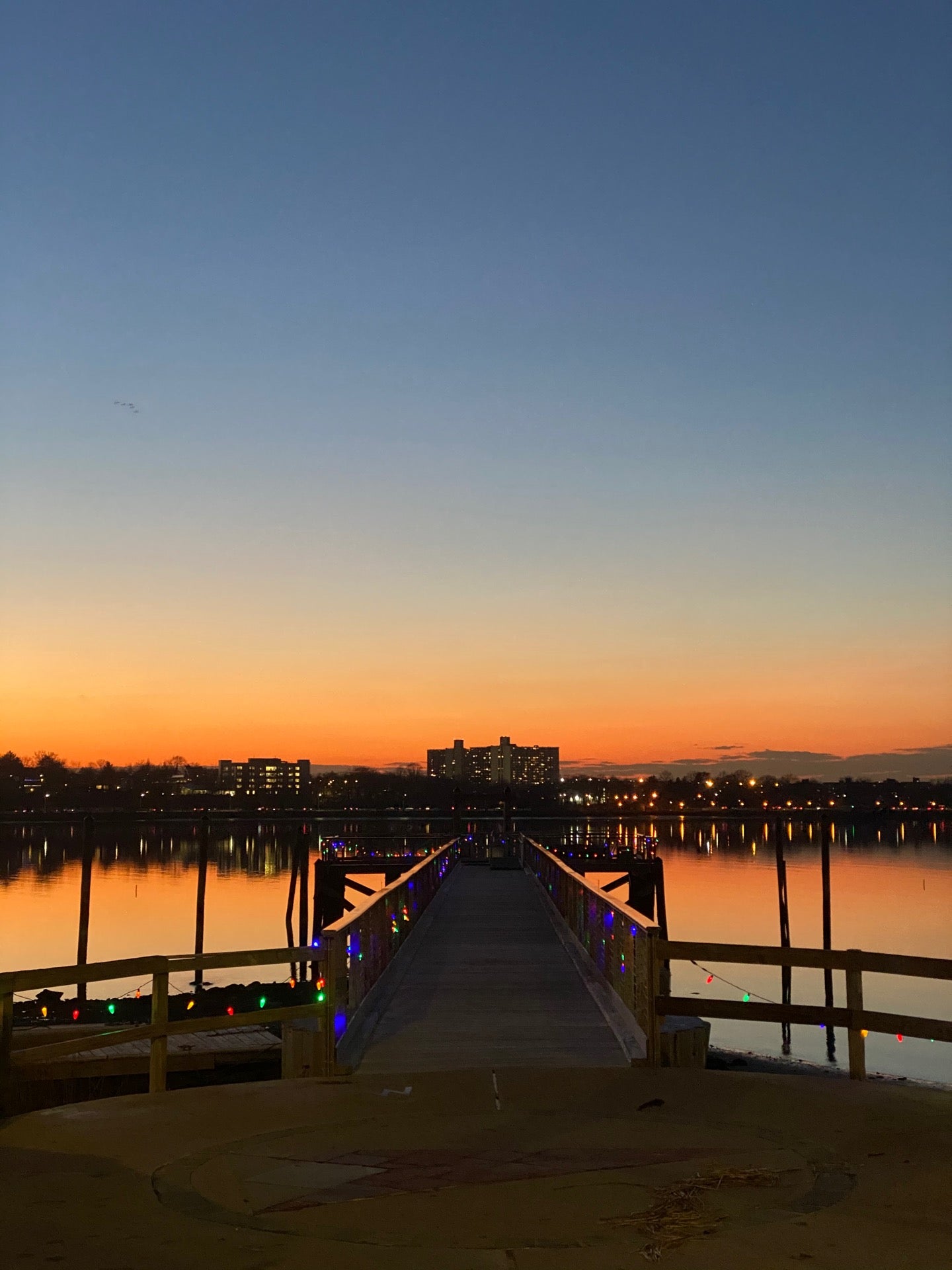 harbor-marina