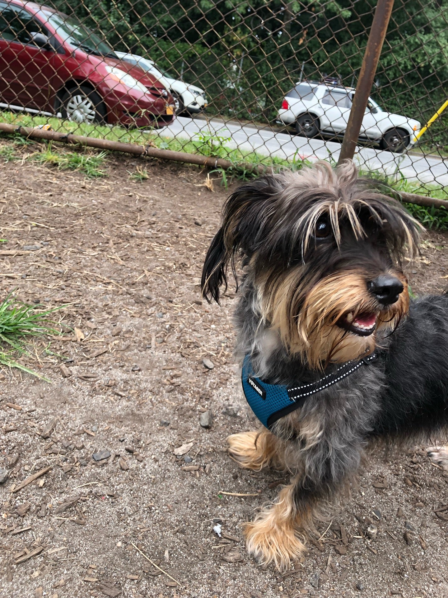 photo of Underbridge Dog Run