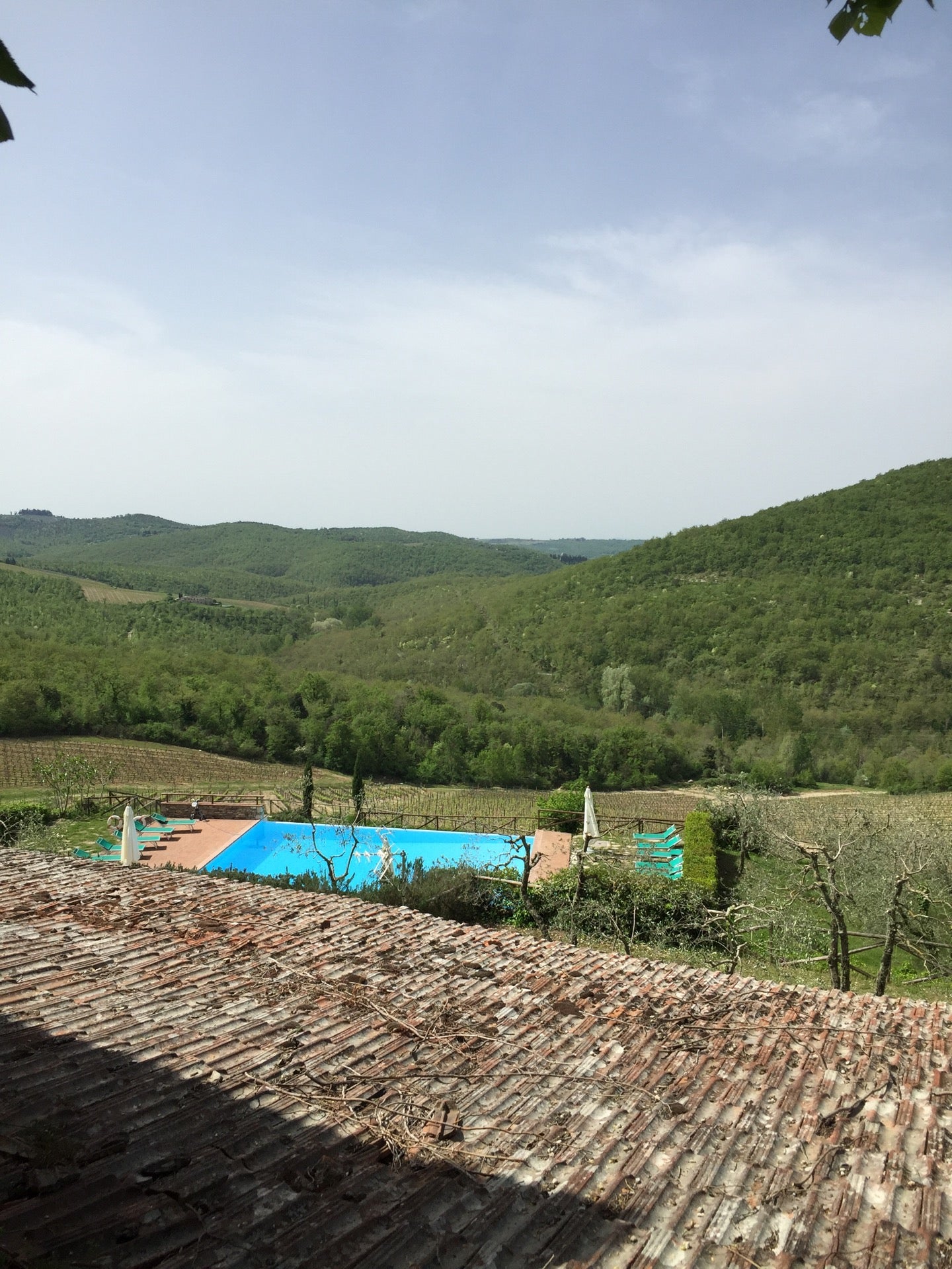 winery