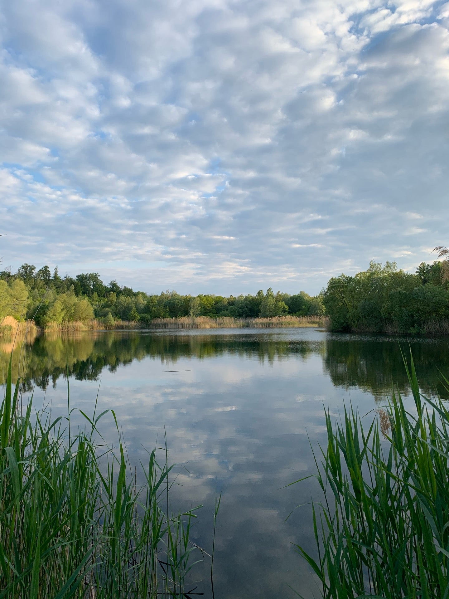 lake